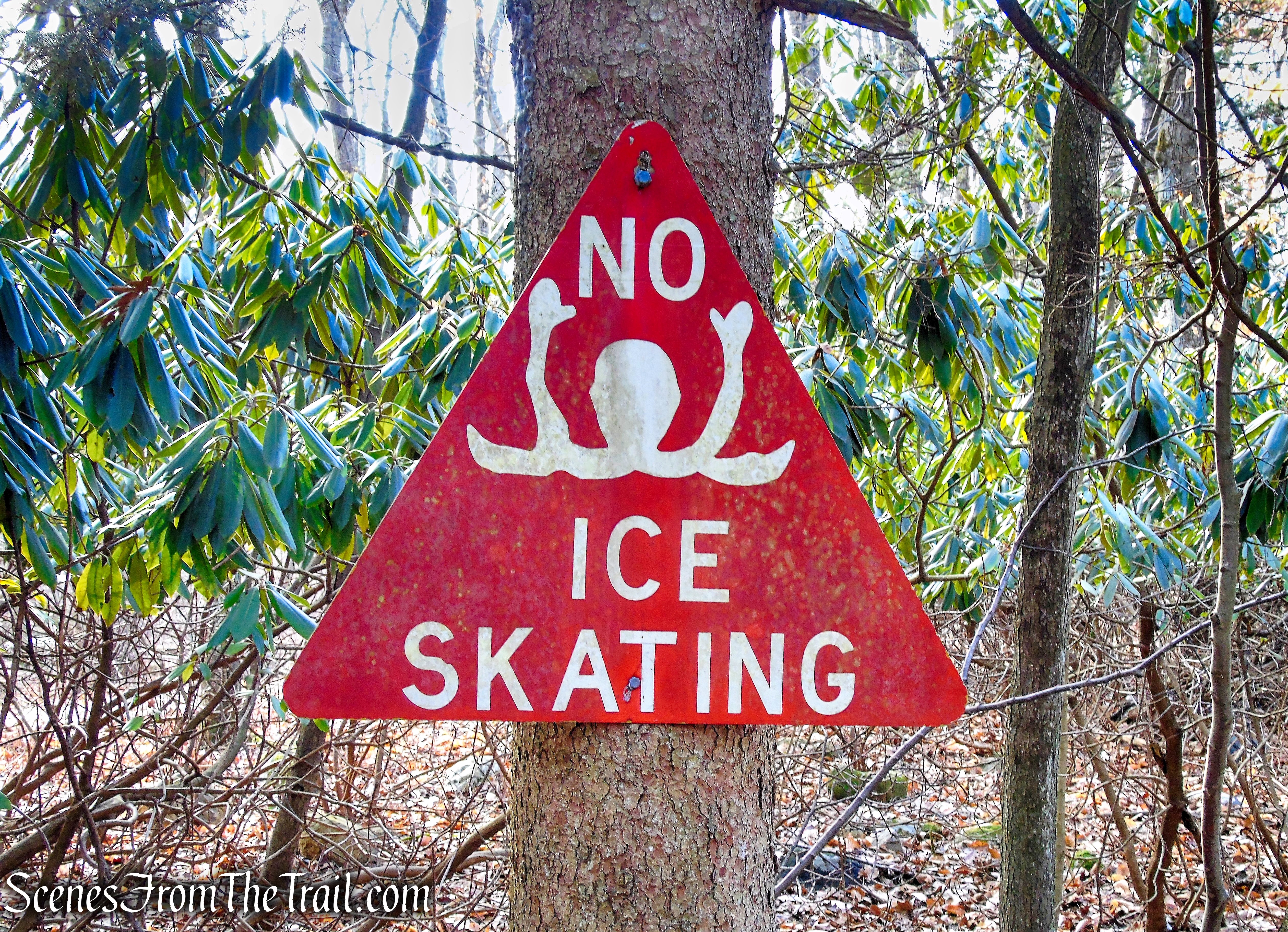 Yellow Trail - Hart's Brook Park and Preserve