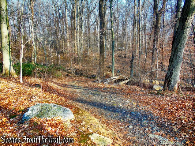 Green Trail - Hart's Brook Park and Preserve