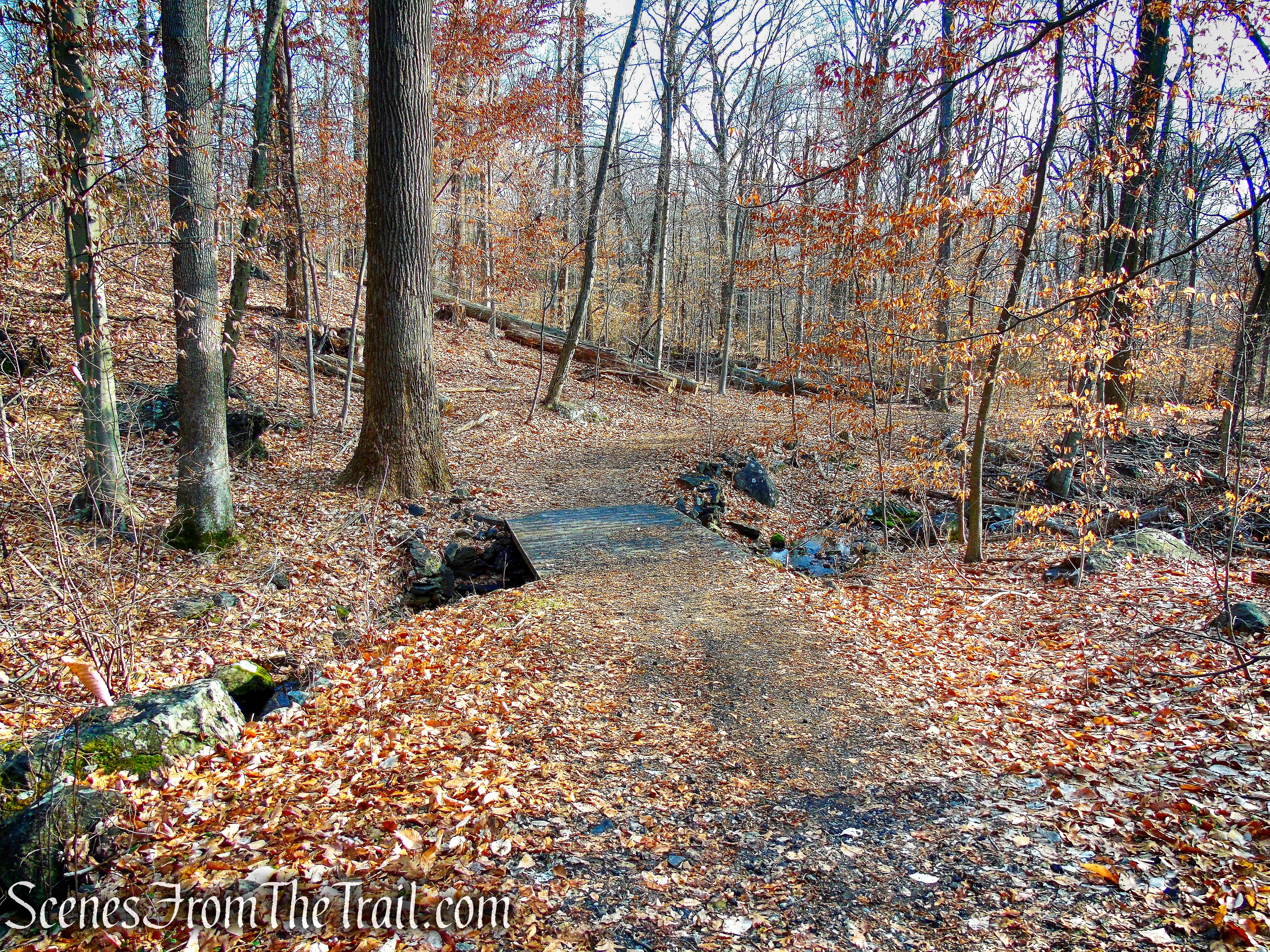 Green Trail - Hart's Brook Park and Preserve
