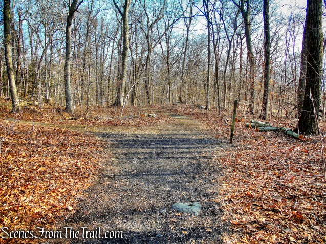 junction of Orange & Green Trails - Hart's Brook Park and Preserve