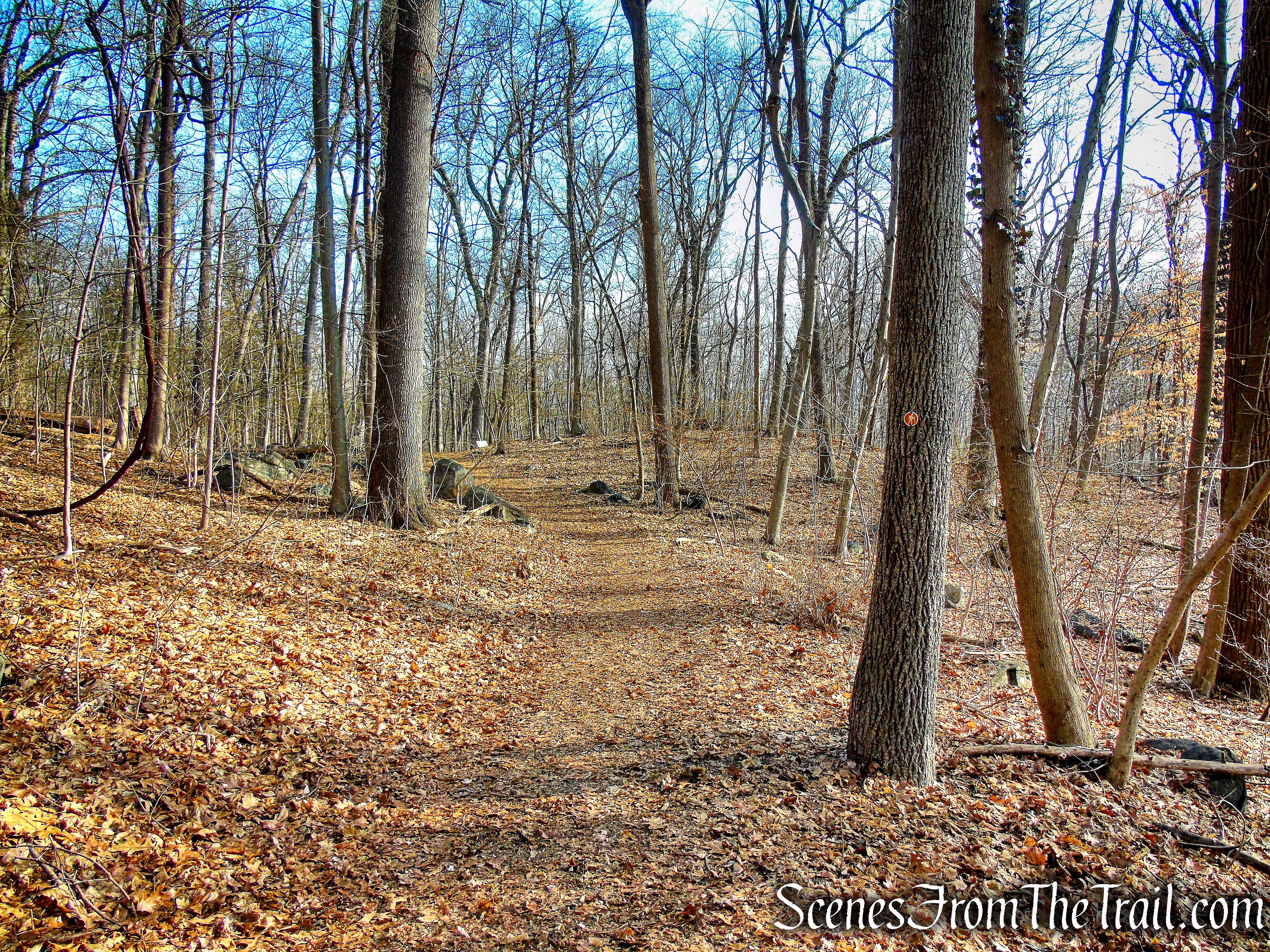 Orange Trail - Hart's Brook Park and Preserve