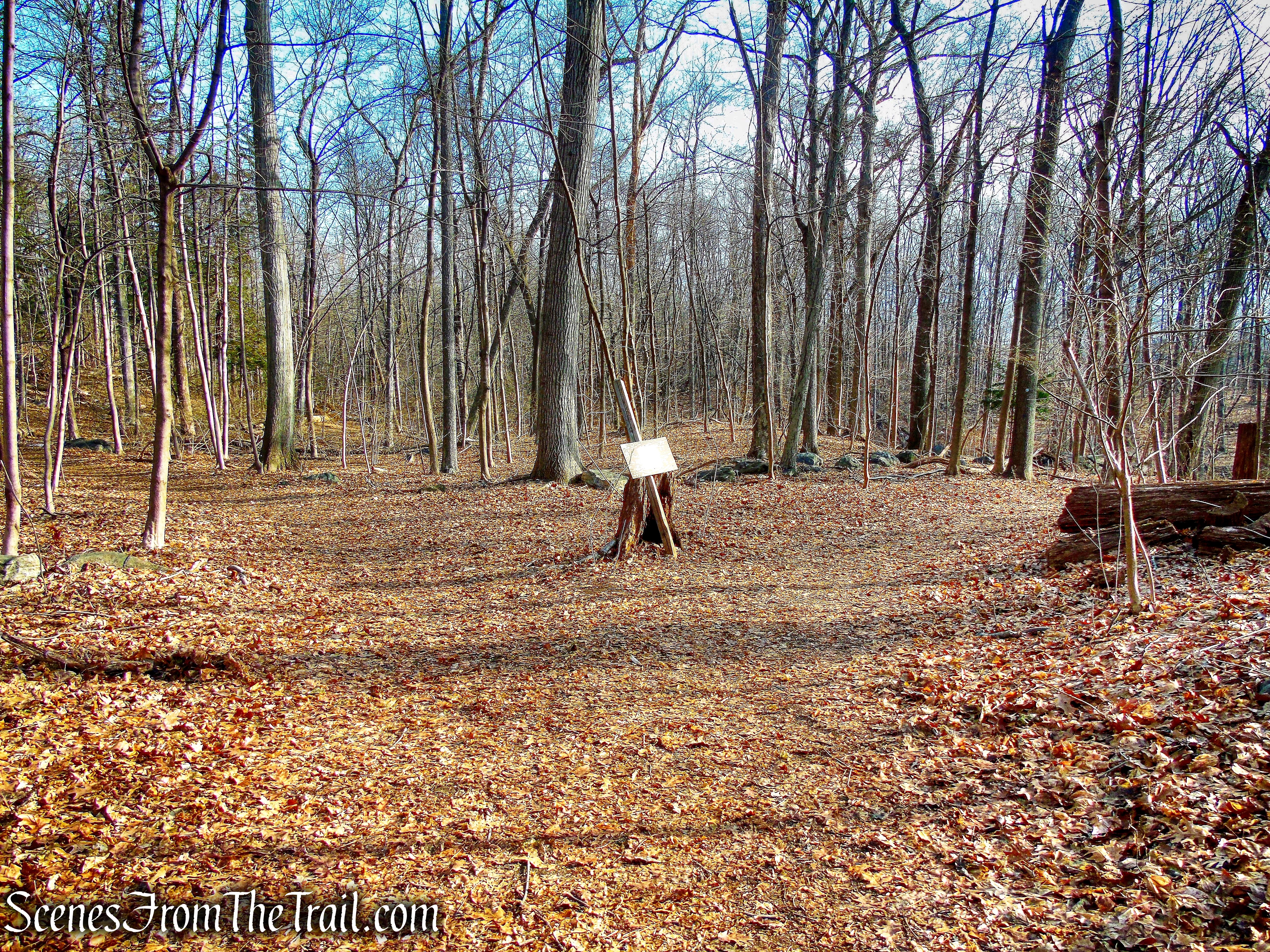 junction of Orange & Blue Trails - Hart's Brook Park and Preserve
