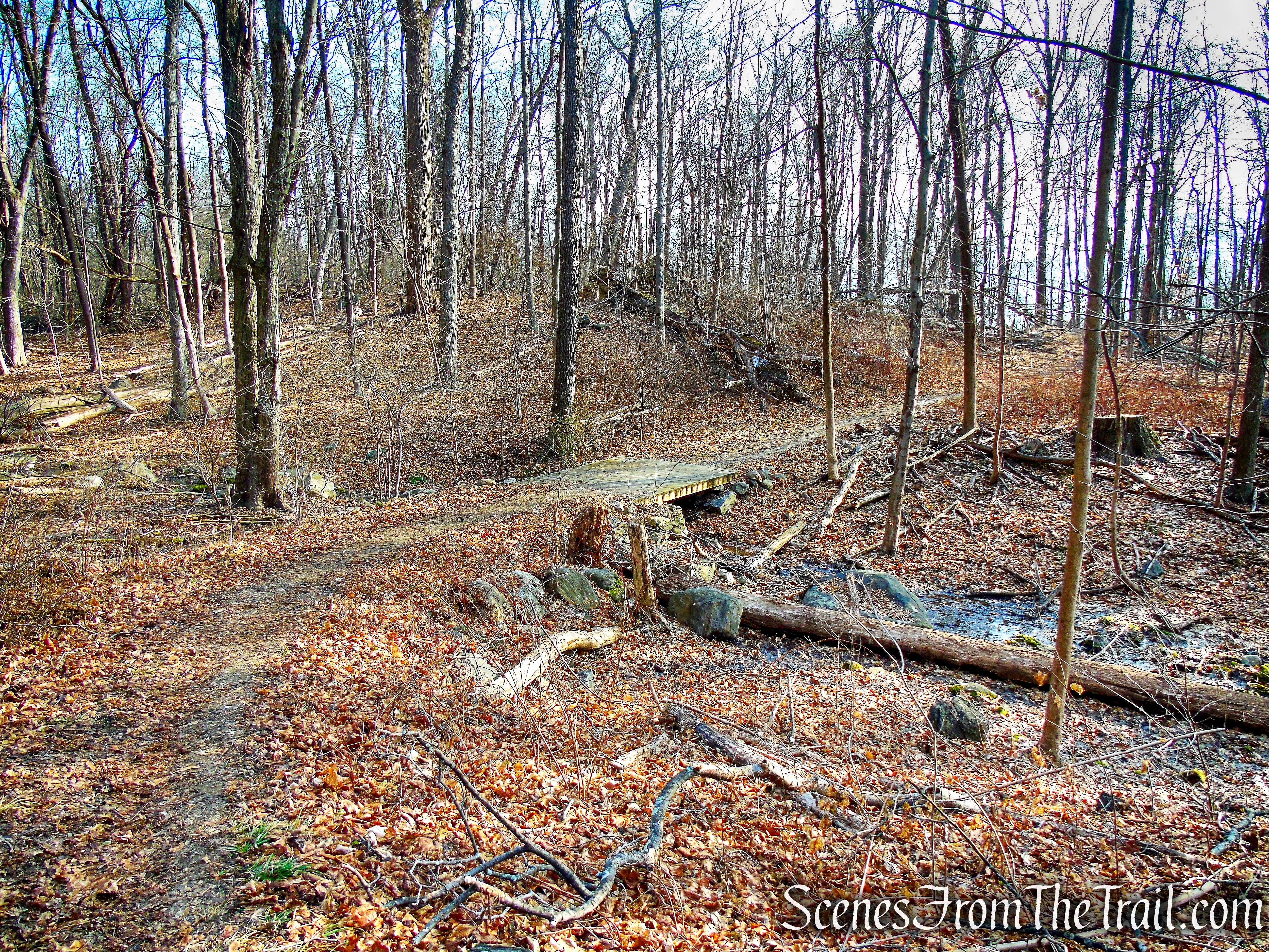 Blue Trail - Hart's Brook Park and Preserve