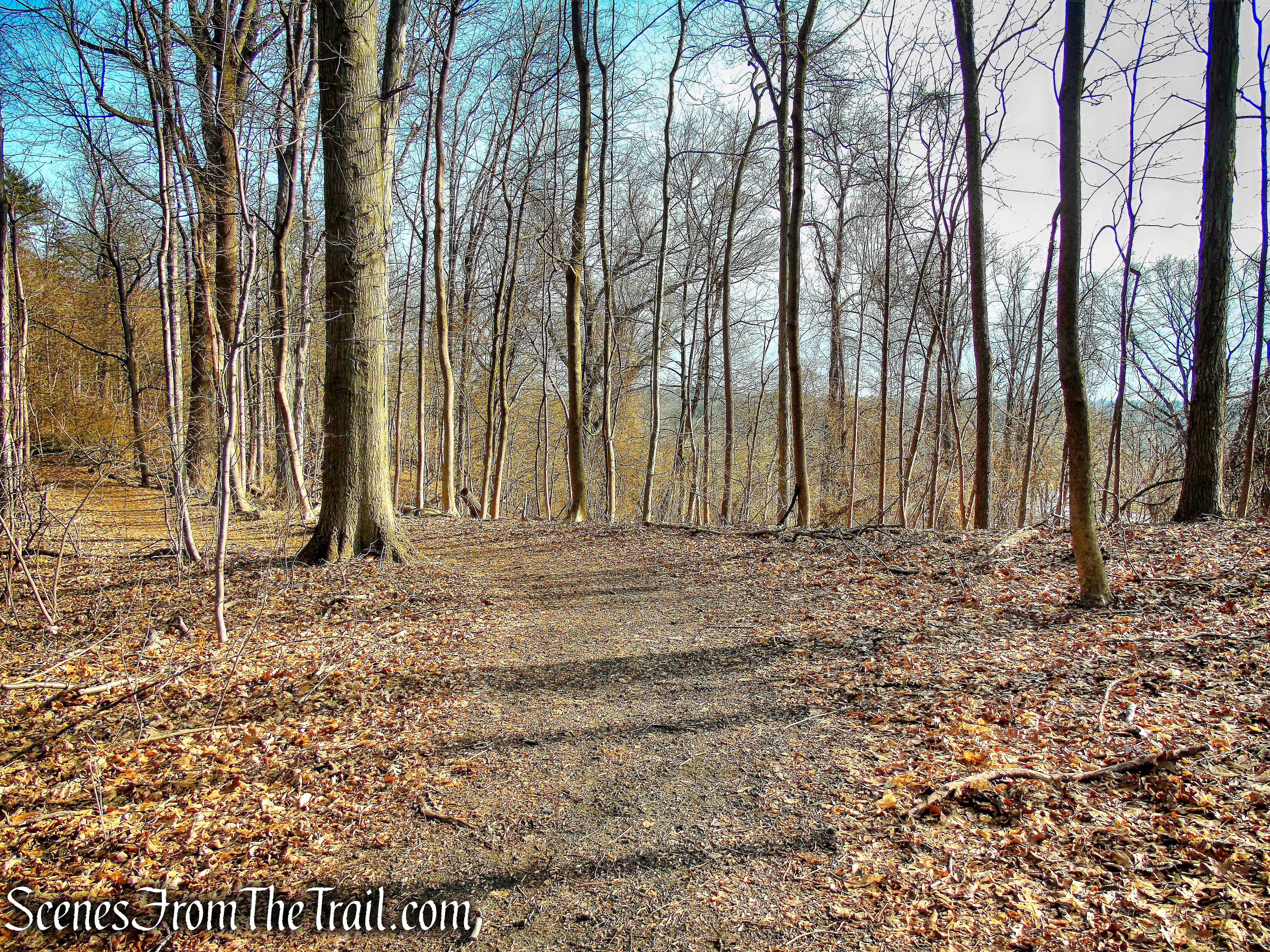 Blue Trail - Hart's Brook Park and Preserve