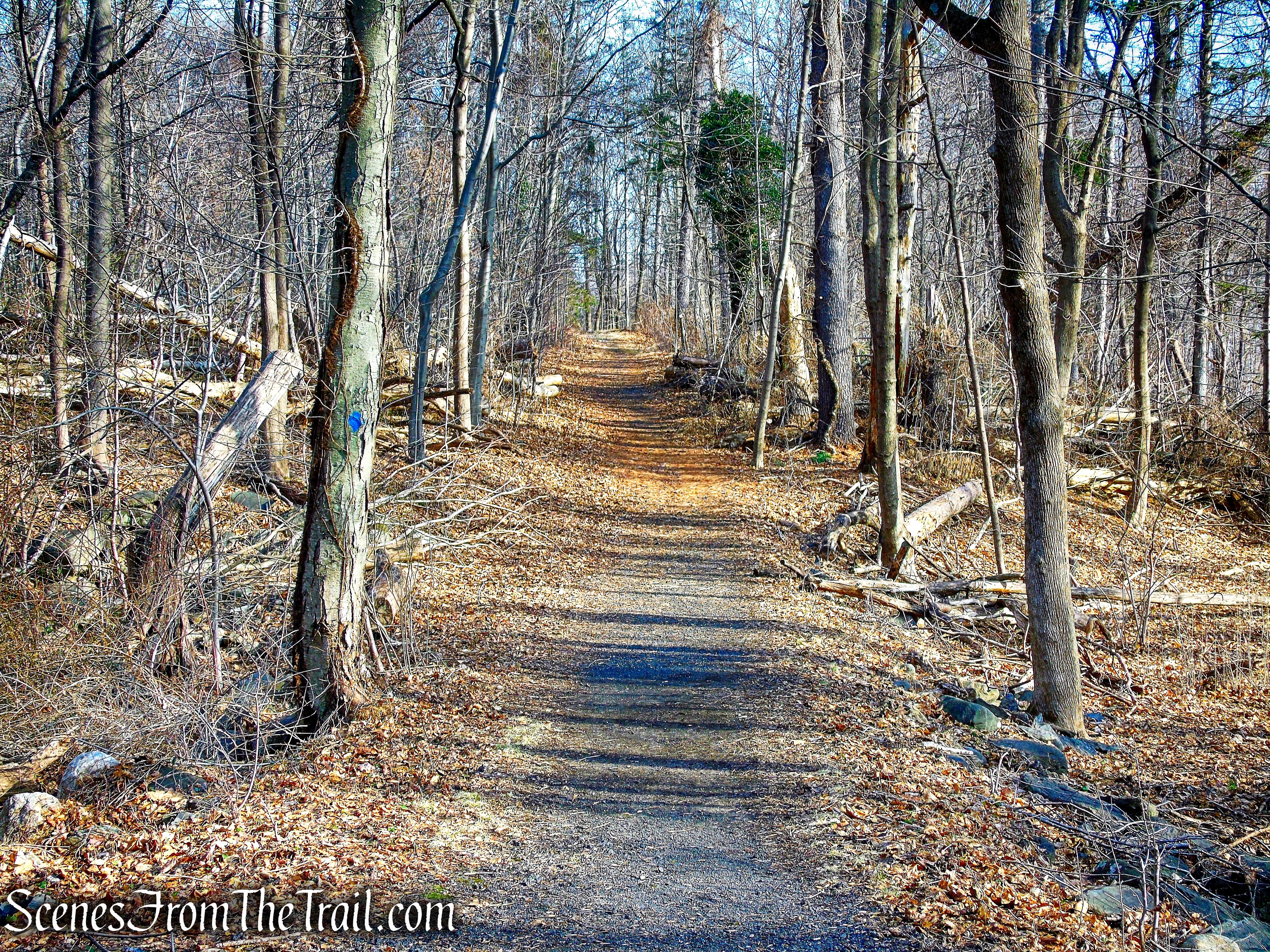 Blue Trail - Hart's Brook Park and Preserve