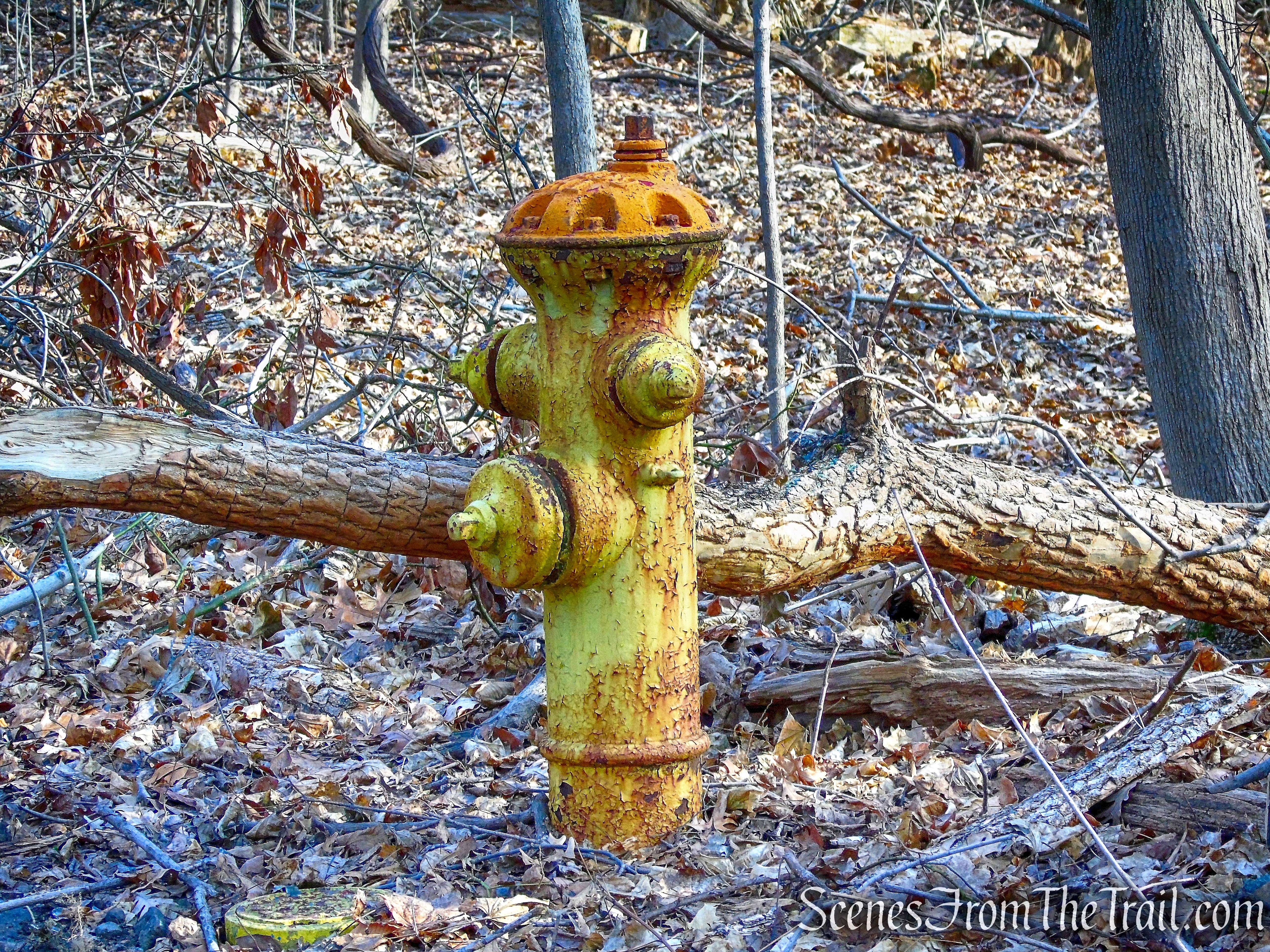 Blue Trail - Hart's Brook Park and Preserve