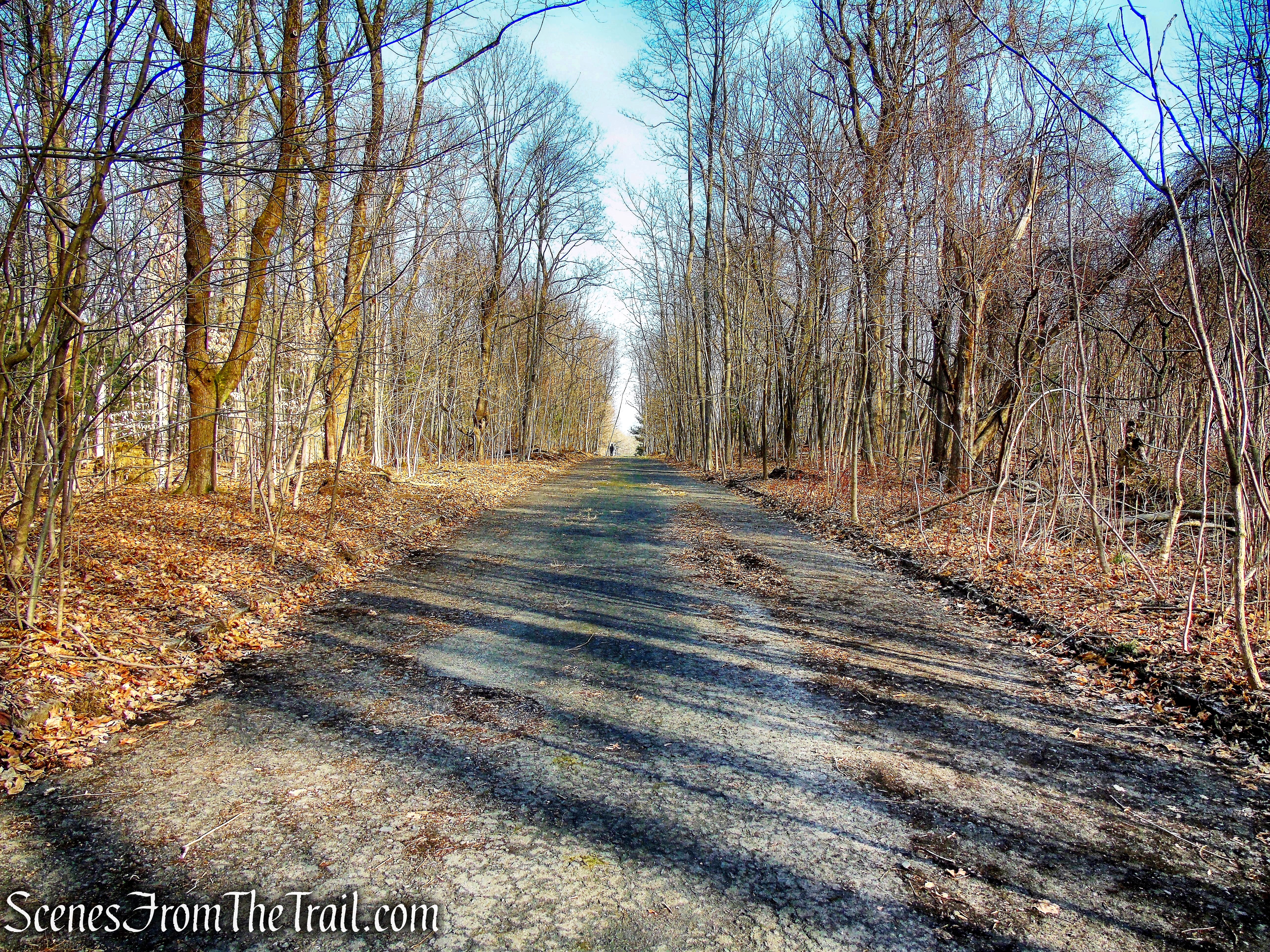 Blue Trail - Hart's Brook Park and Preserve