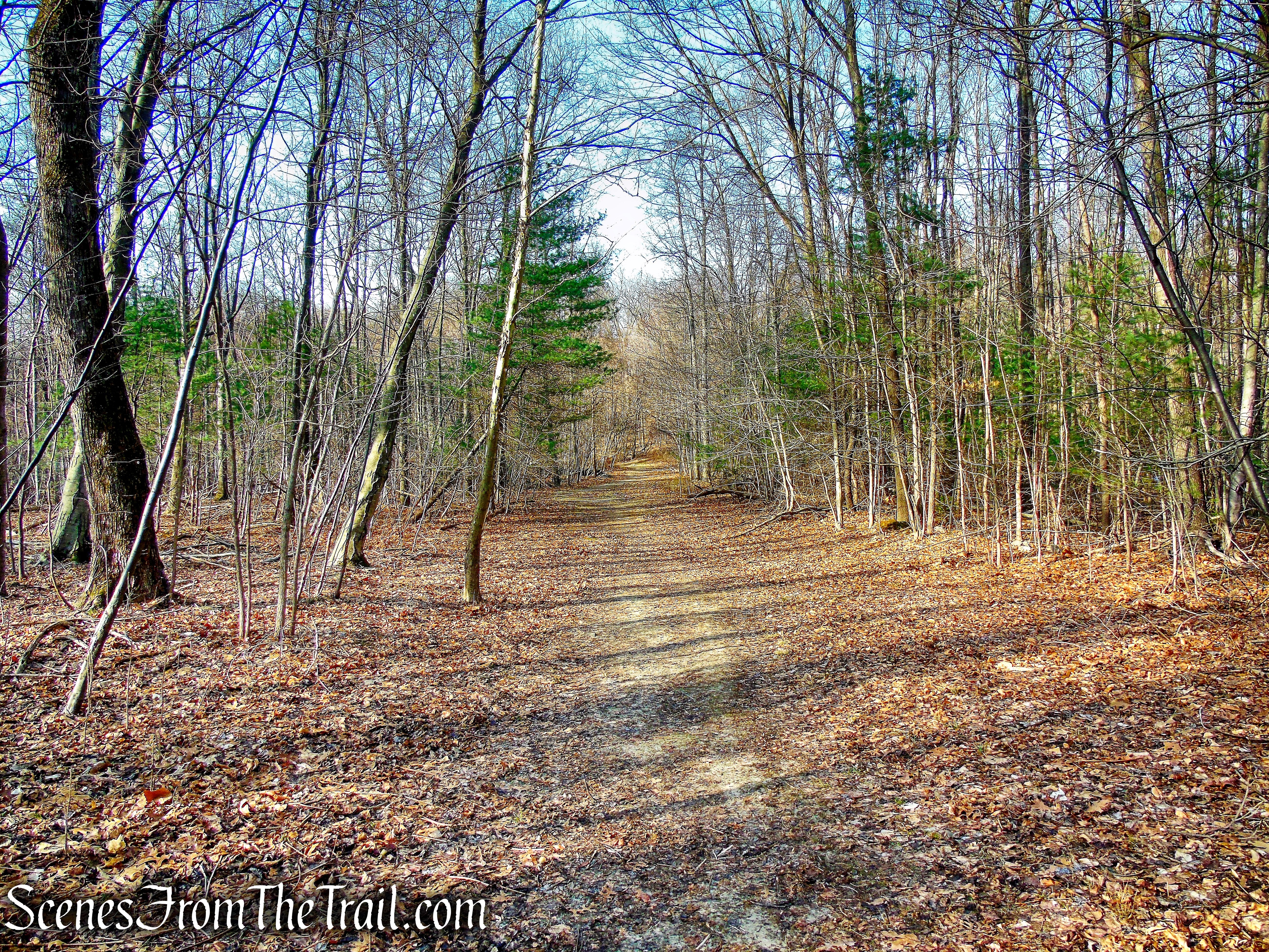 Blue Trail - Hart's Brook Park and Preserve