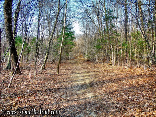 Blue Trail - Hart's Brook Park and Preserve
