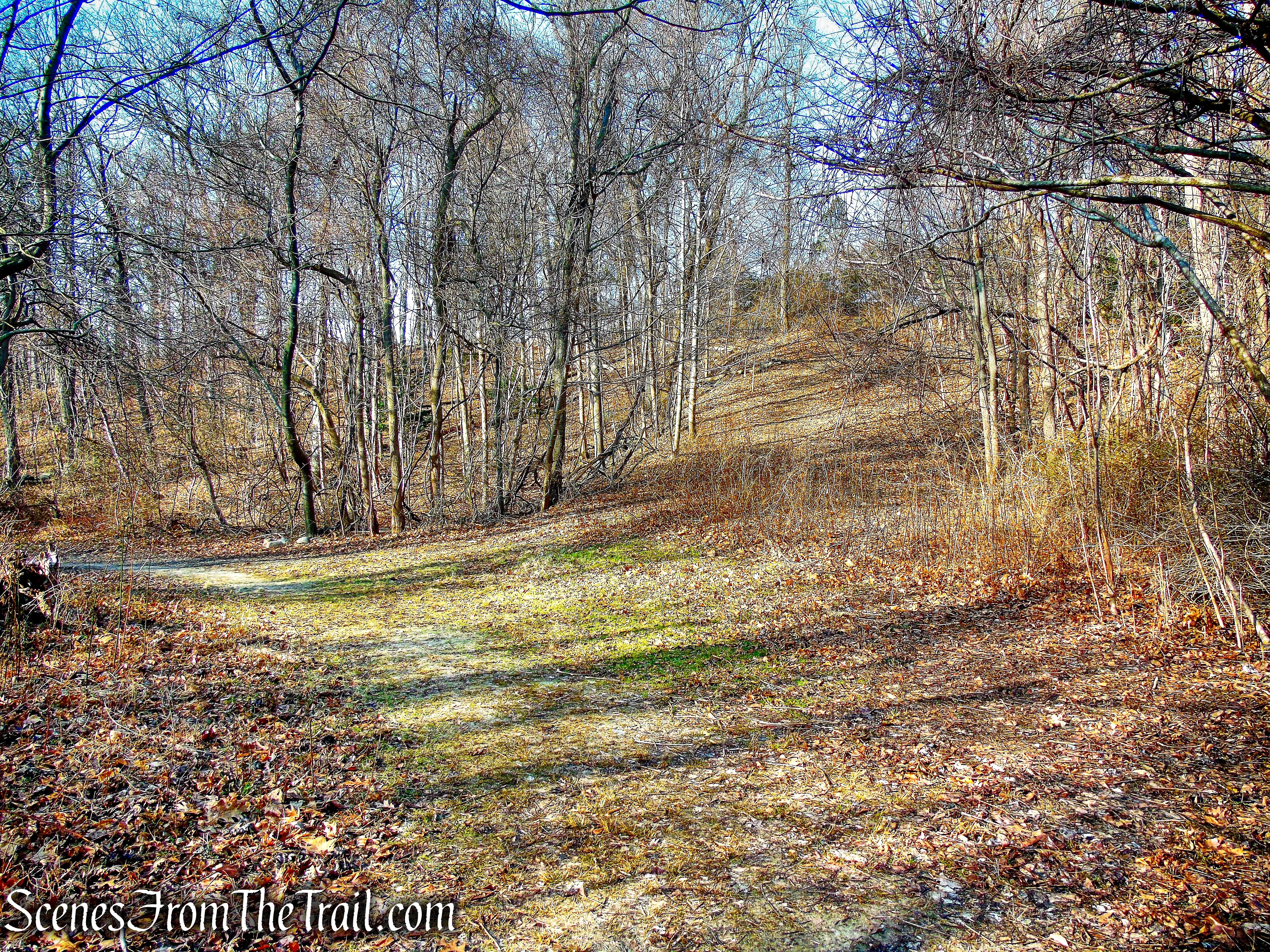 junction of Orange & Blue Trails - Hart's Brook Park and Preserve