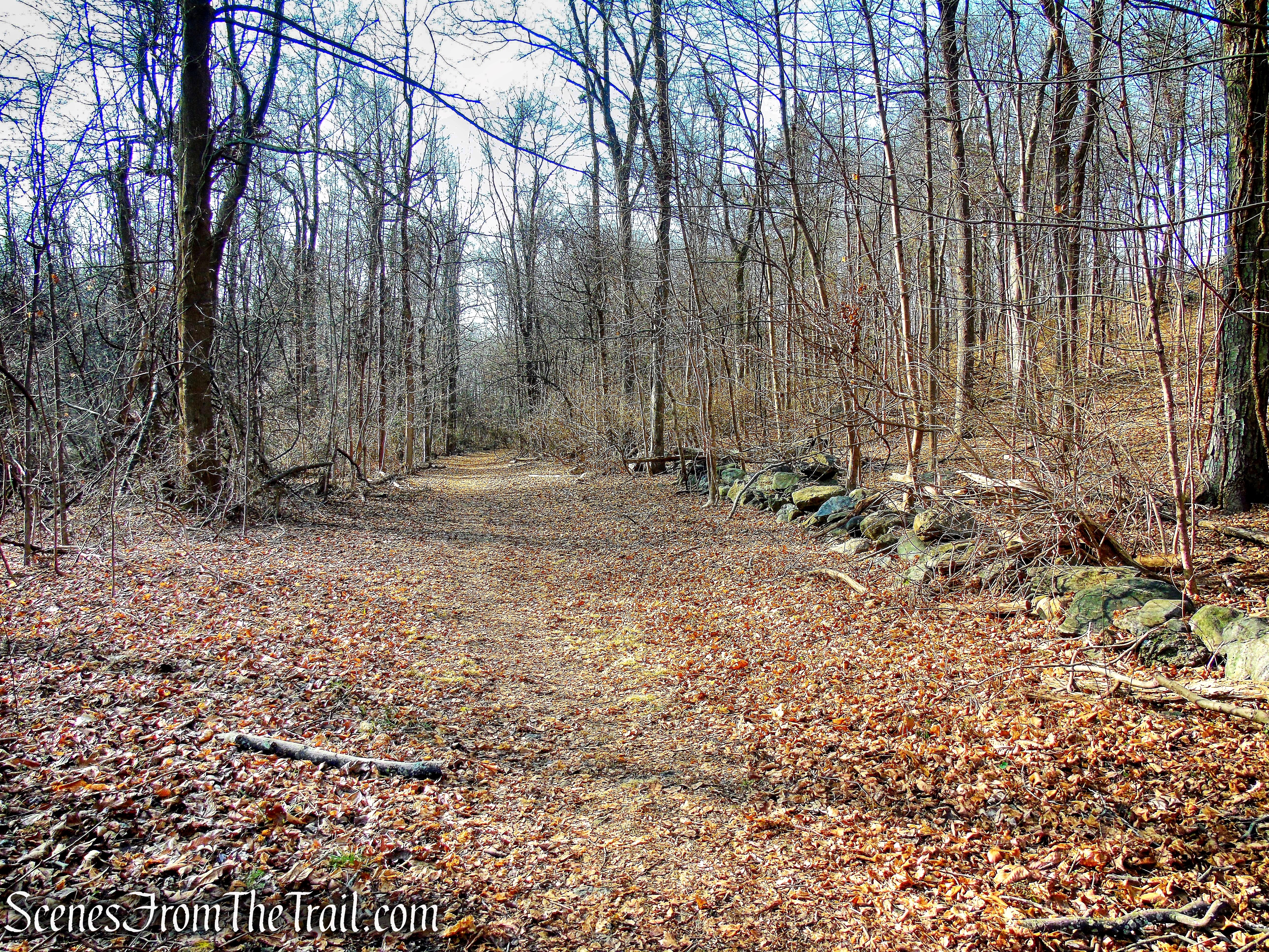 Orange Trail - Hart's Brook Park and Preserve