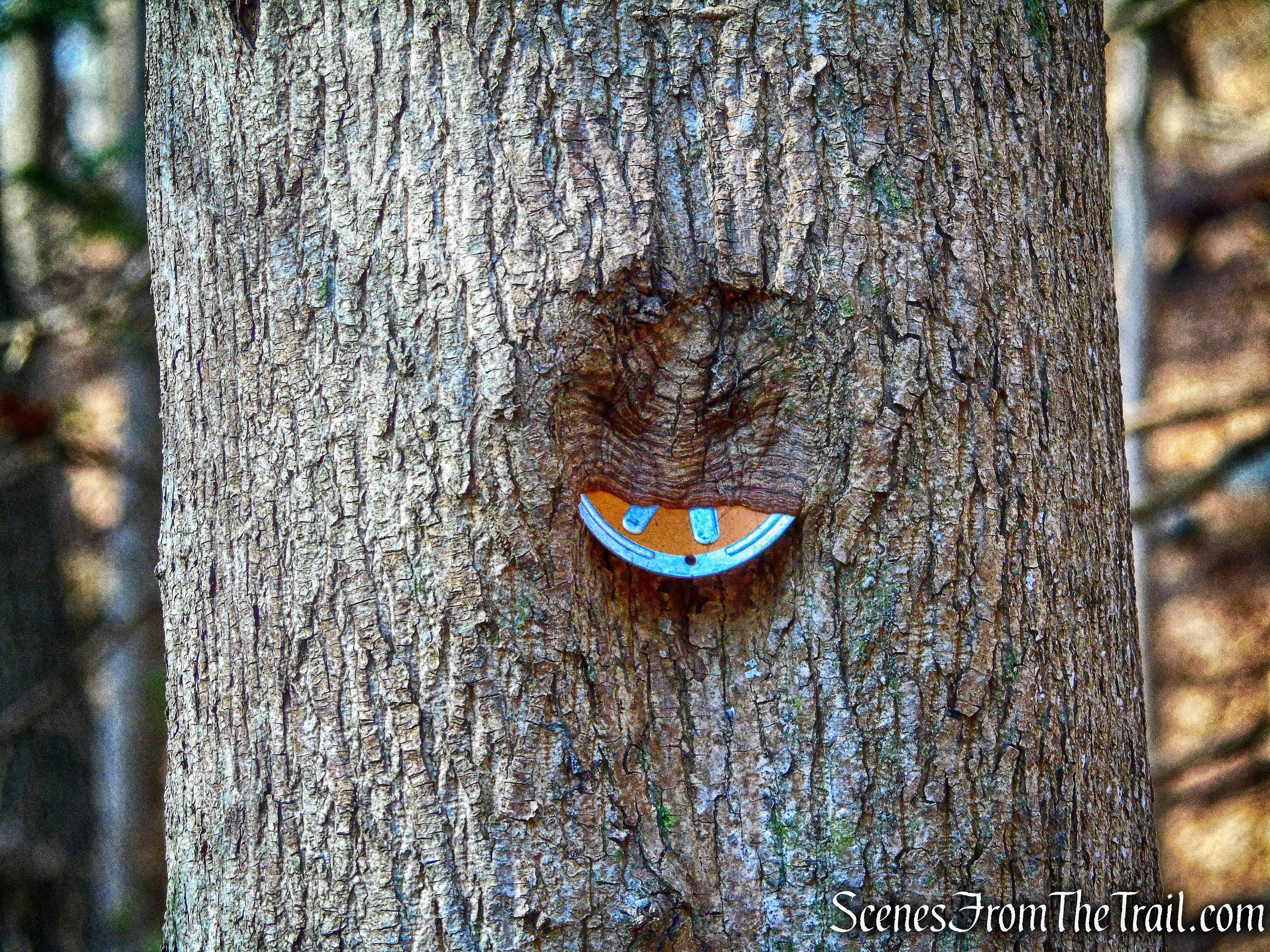Orange Trail - Hart's Brook Park and Preserve