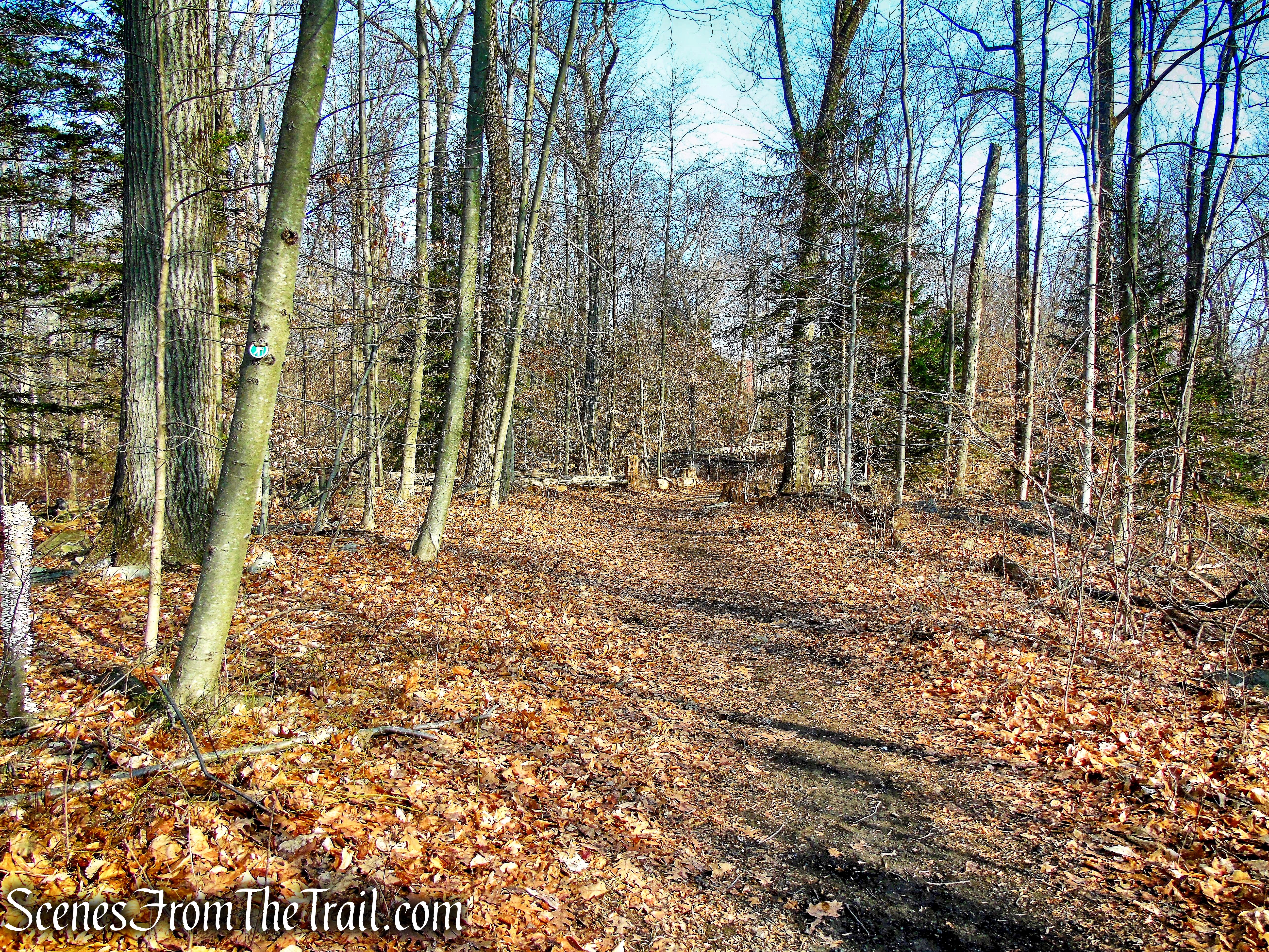 Green Trail - Hart's Brook Park and Preserve
