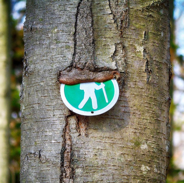 Green Trail - Hart's Brook Park and Preserve