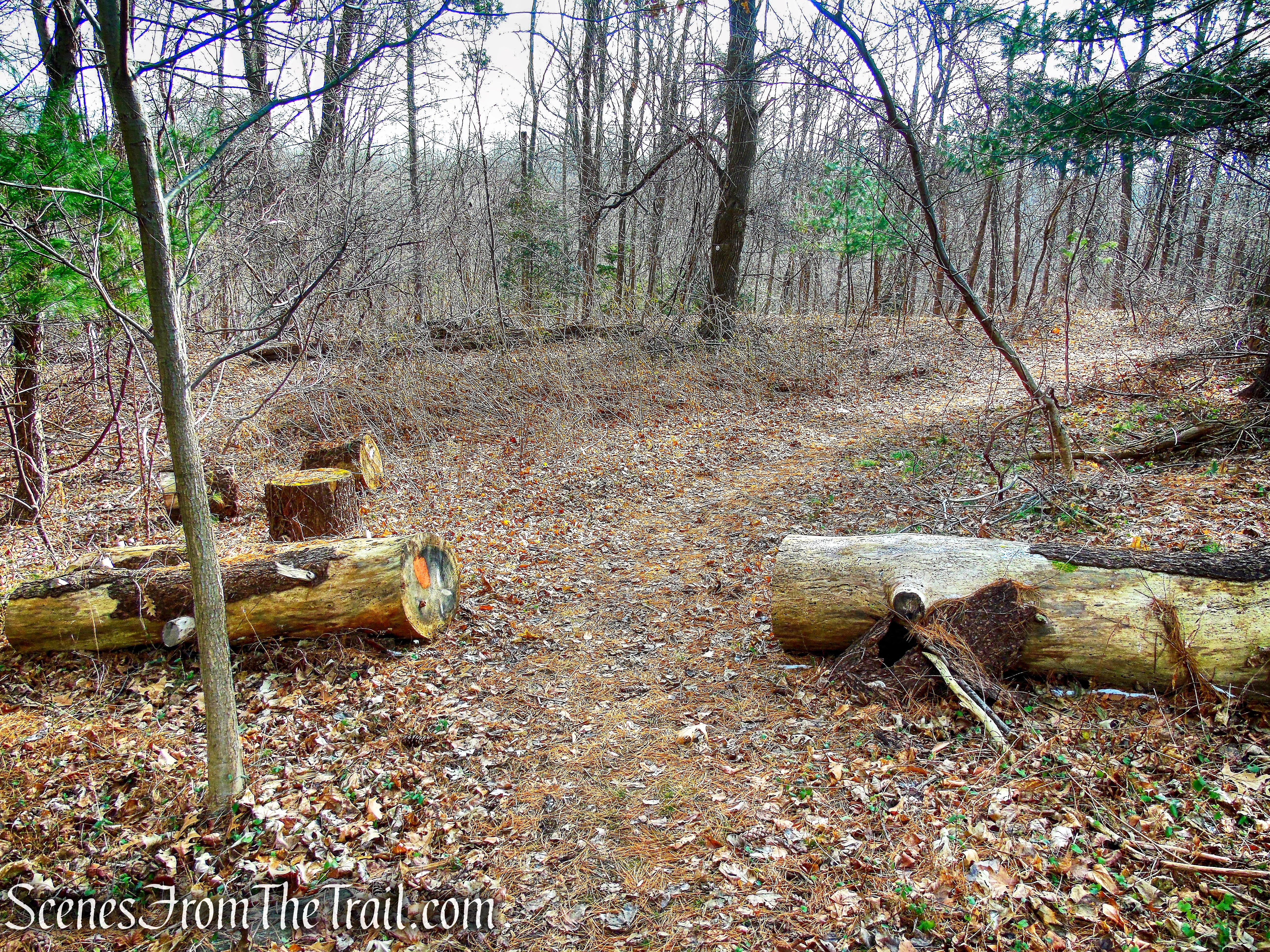 Orange Trail - Hart's Brook Park and Preserve