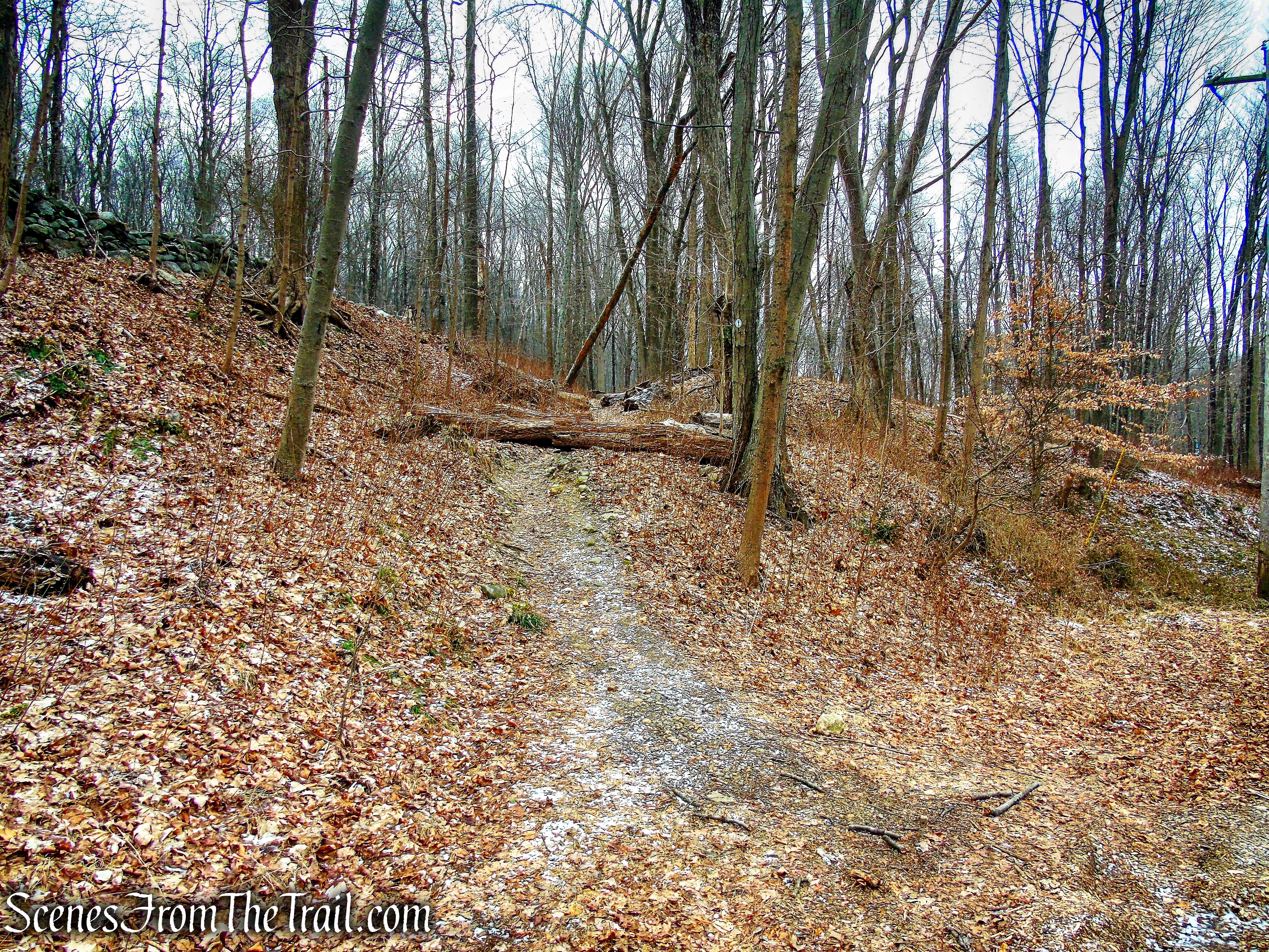 White Trail - Halmi Preserve