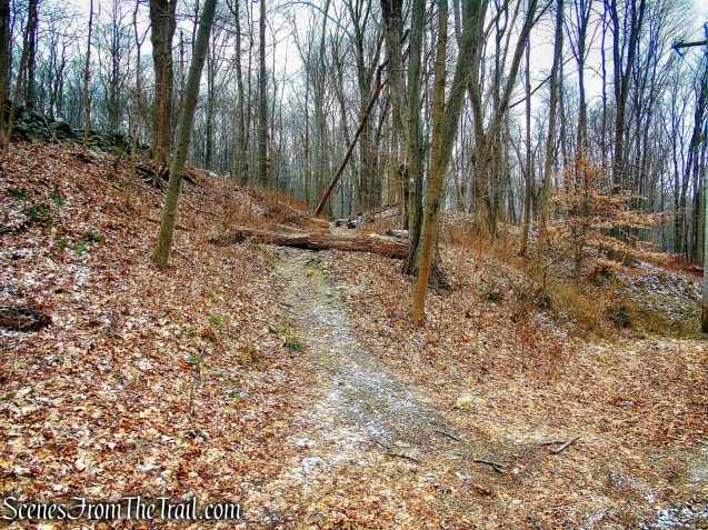 White Trail - Halmi Preserve