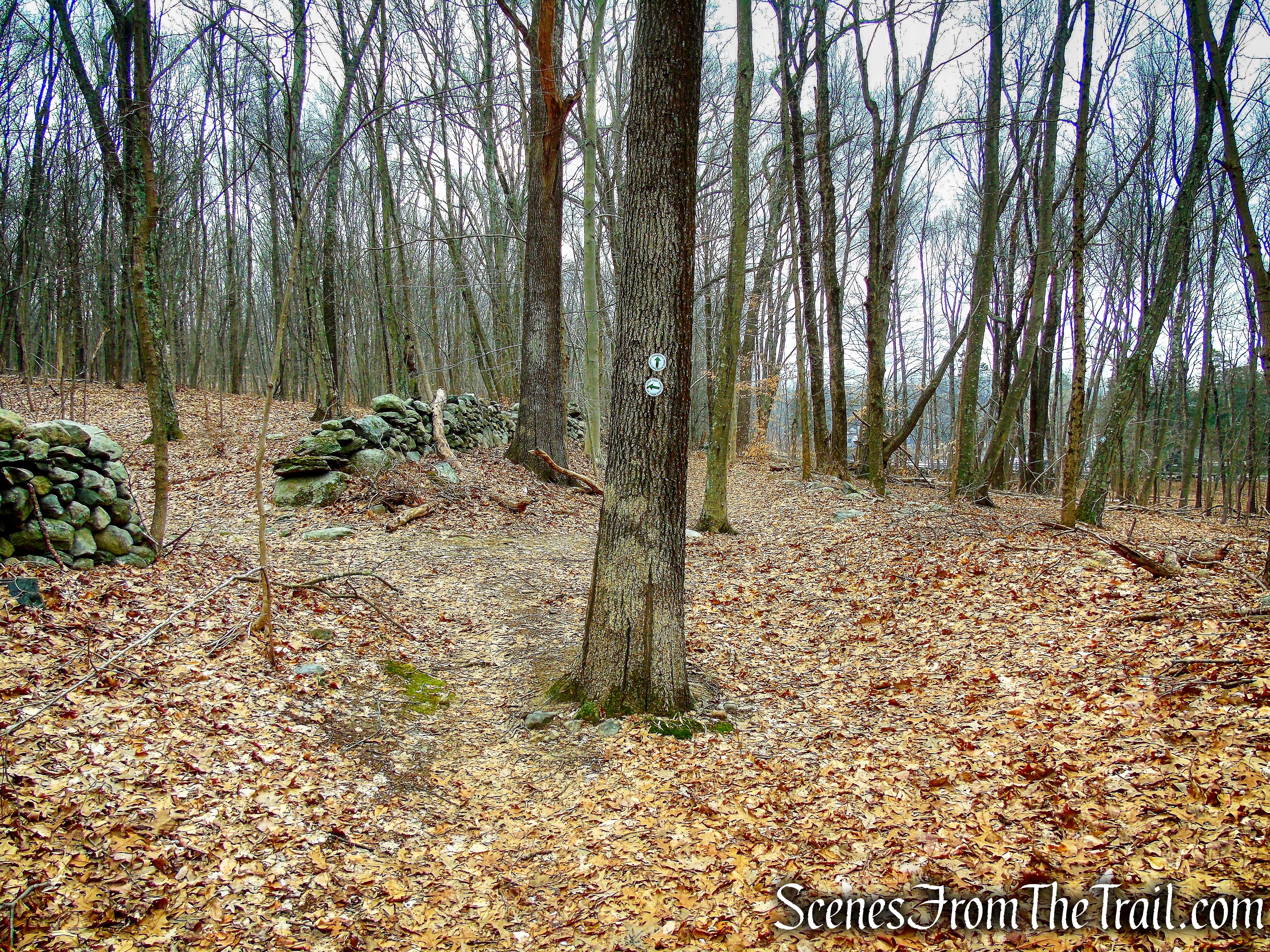 White Trail - Halmi Preserve