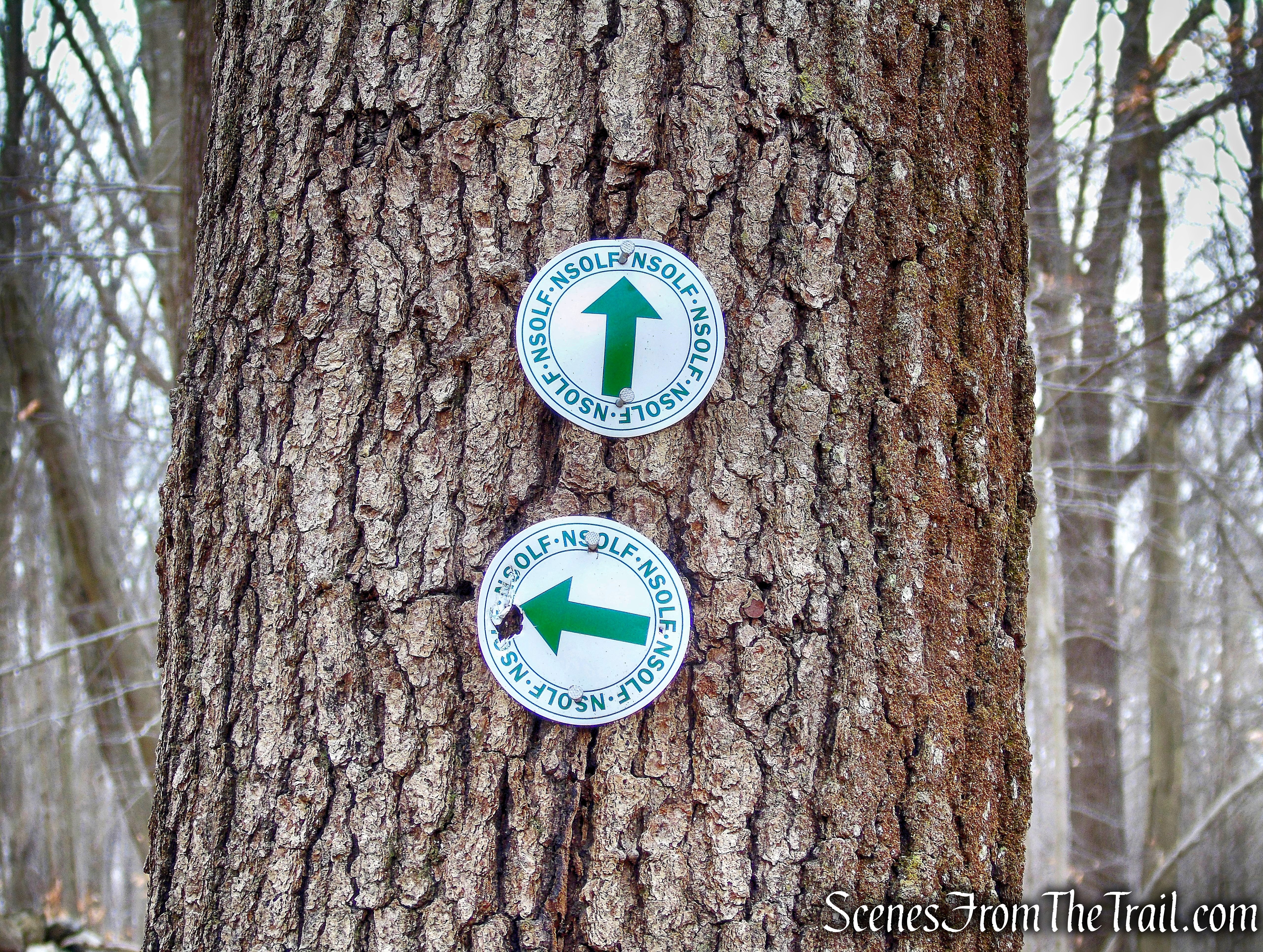 White Trail - Halmi Preserve