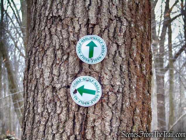 White Trail - Halmi Preserve