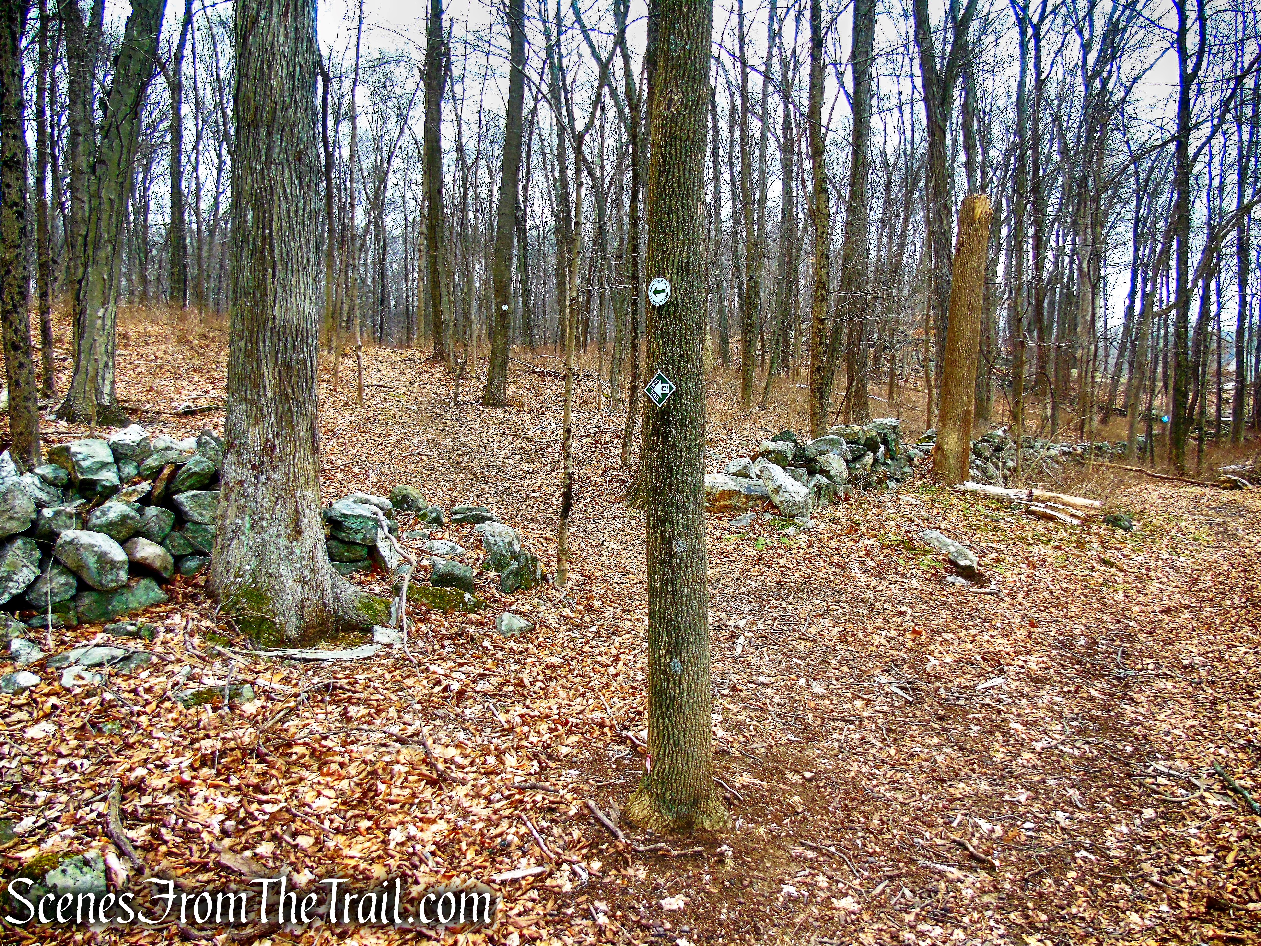 White Trail - Halmi Preserve