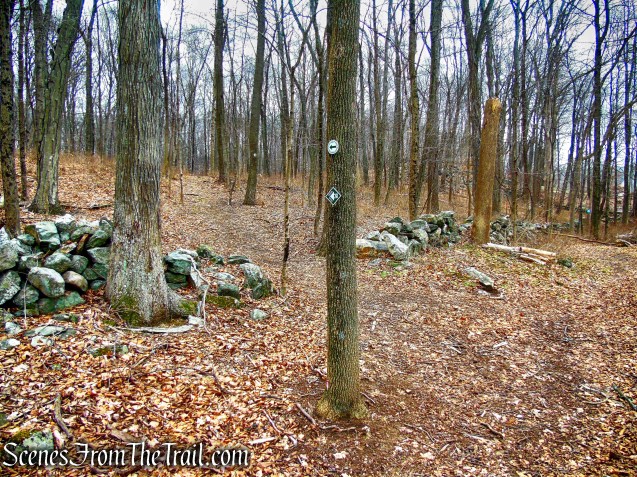 White Trail - Halmi Preserve