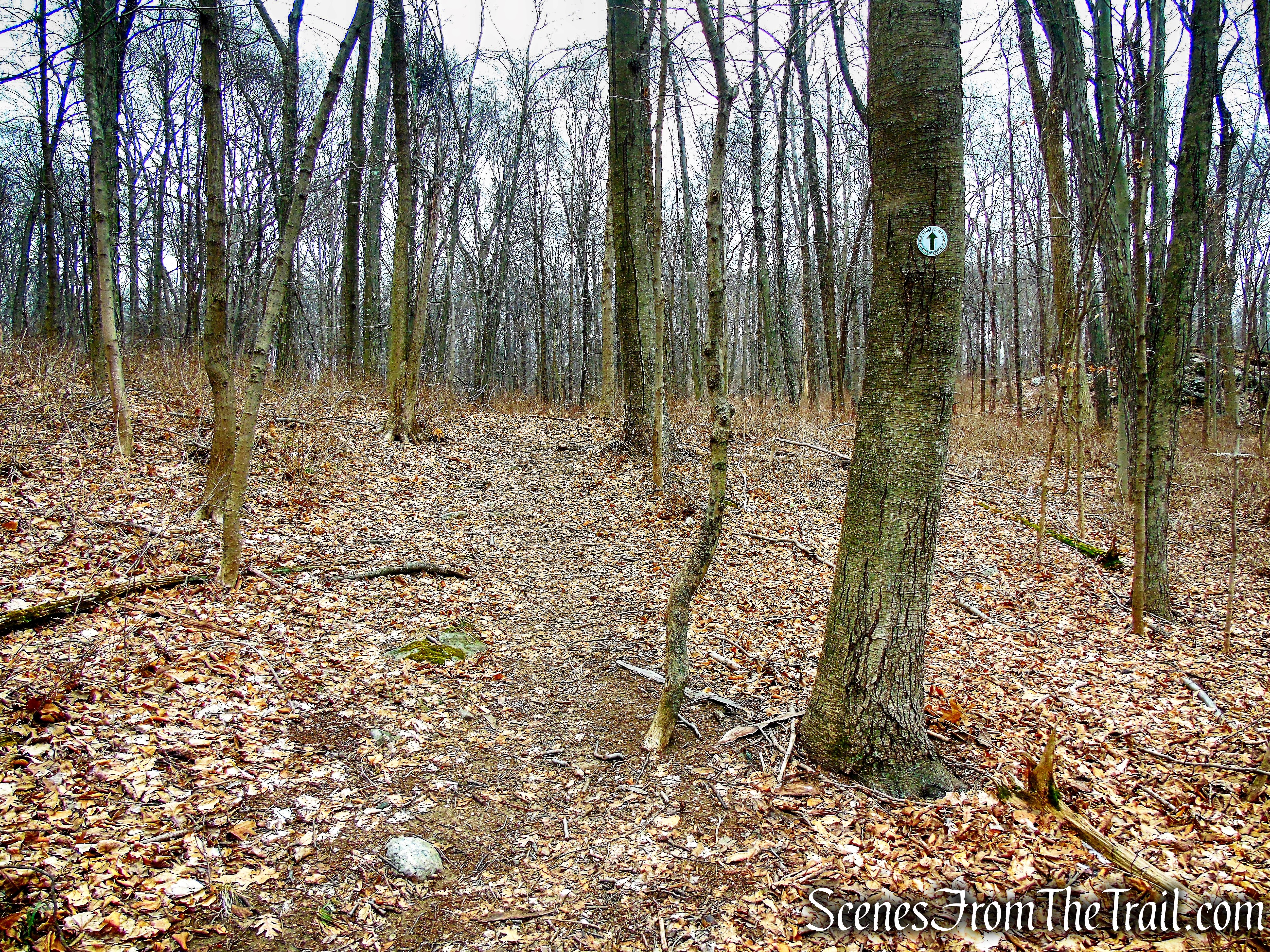 White Trail - Halmi Preserve