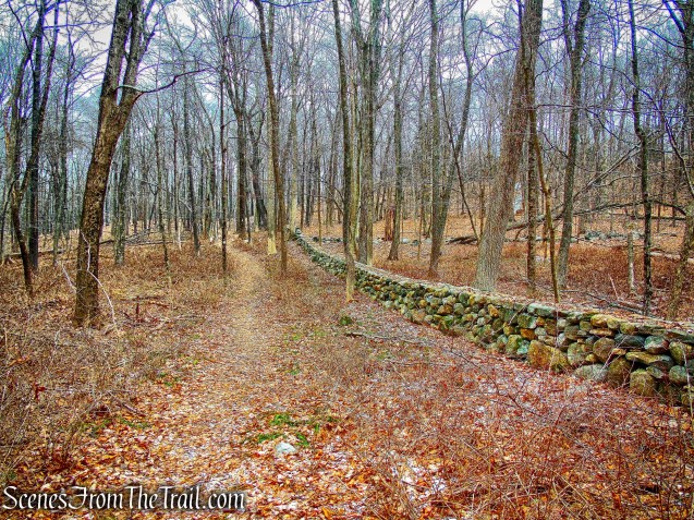 White Trail - Halmi Preserve