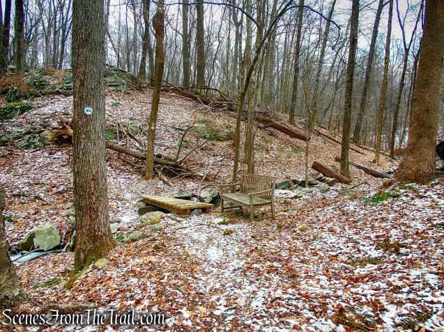 White and Yellow Trails - Halmi Preserve