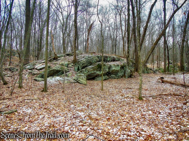 White and Yellow Trails - Halmi Preserve