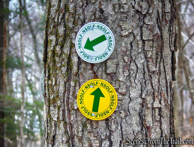 bear right on Yellow Trail - Halmi Preserve