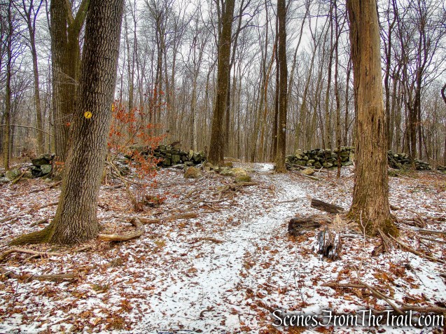 Yellow Trail - Hearst-Mead Preserve
