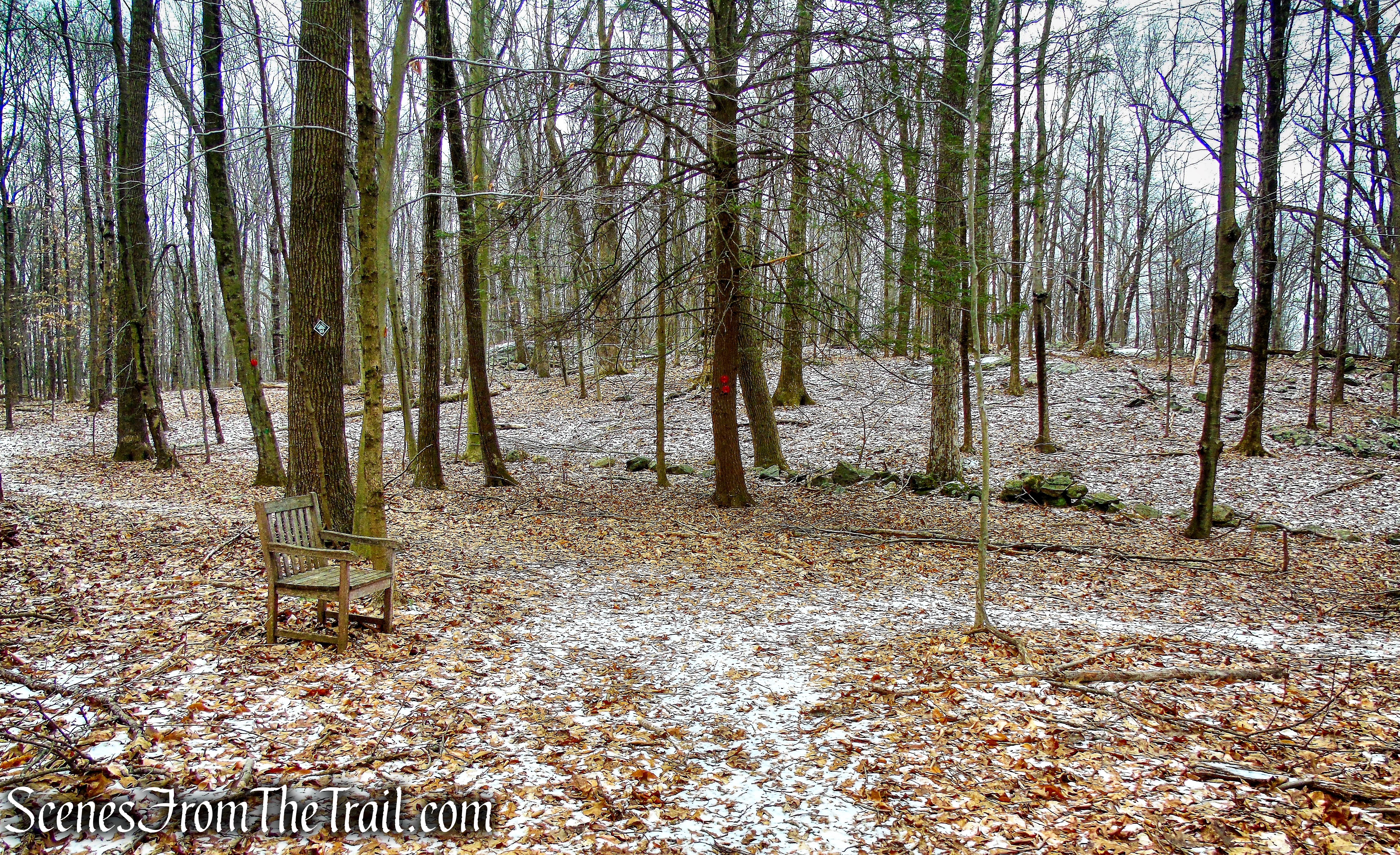 turn right on Red Trail - Hearst-Mead Preserve
