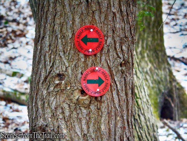 turn right on Red Trail - Hearst-Mead Preserve