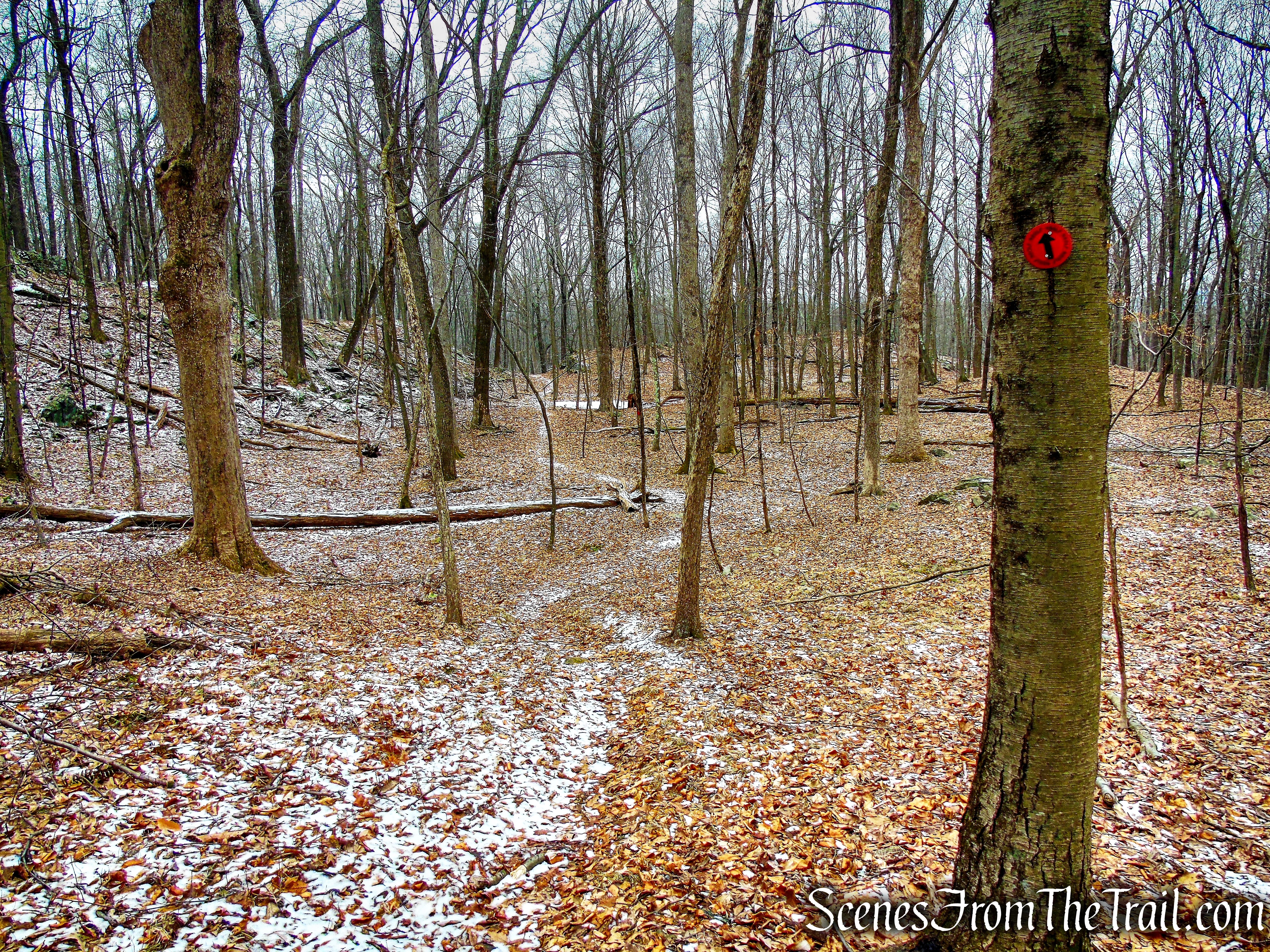 Red Trail - Hearst-Mead Preserve