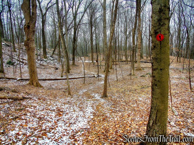 Red Trail - Hearst-Mead Preserve
