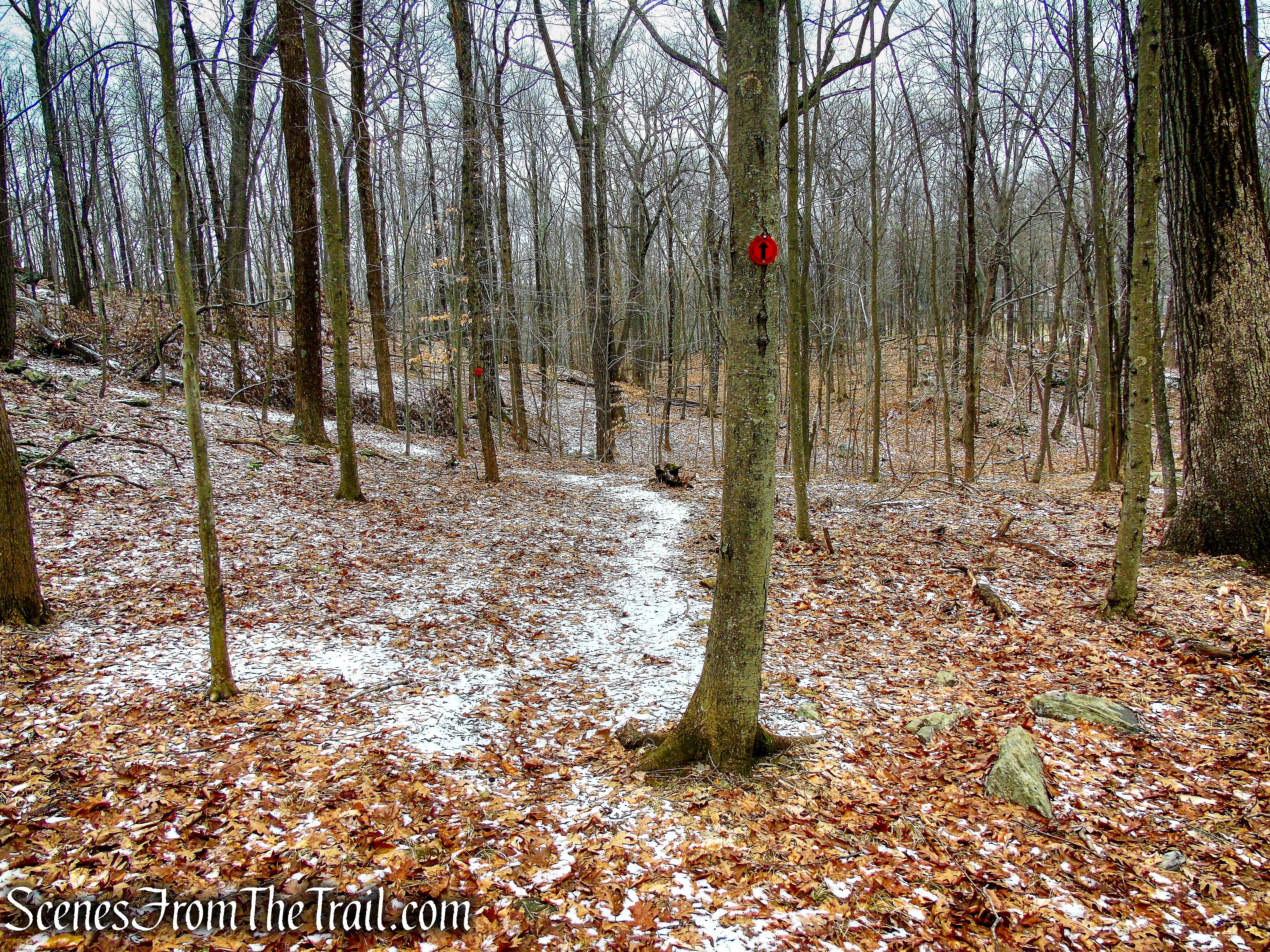 Red Trail - Hearst-Mead Preserve