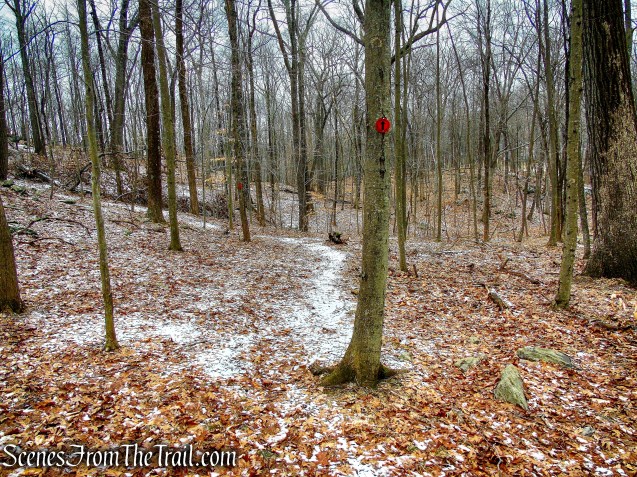 Red Trail - Hearst-Mead Preserve