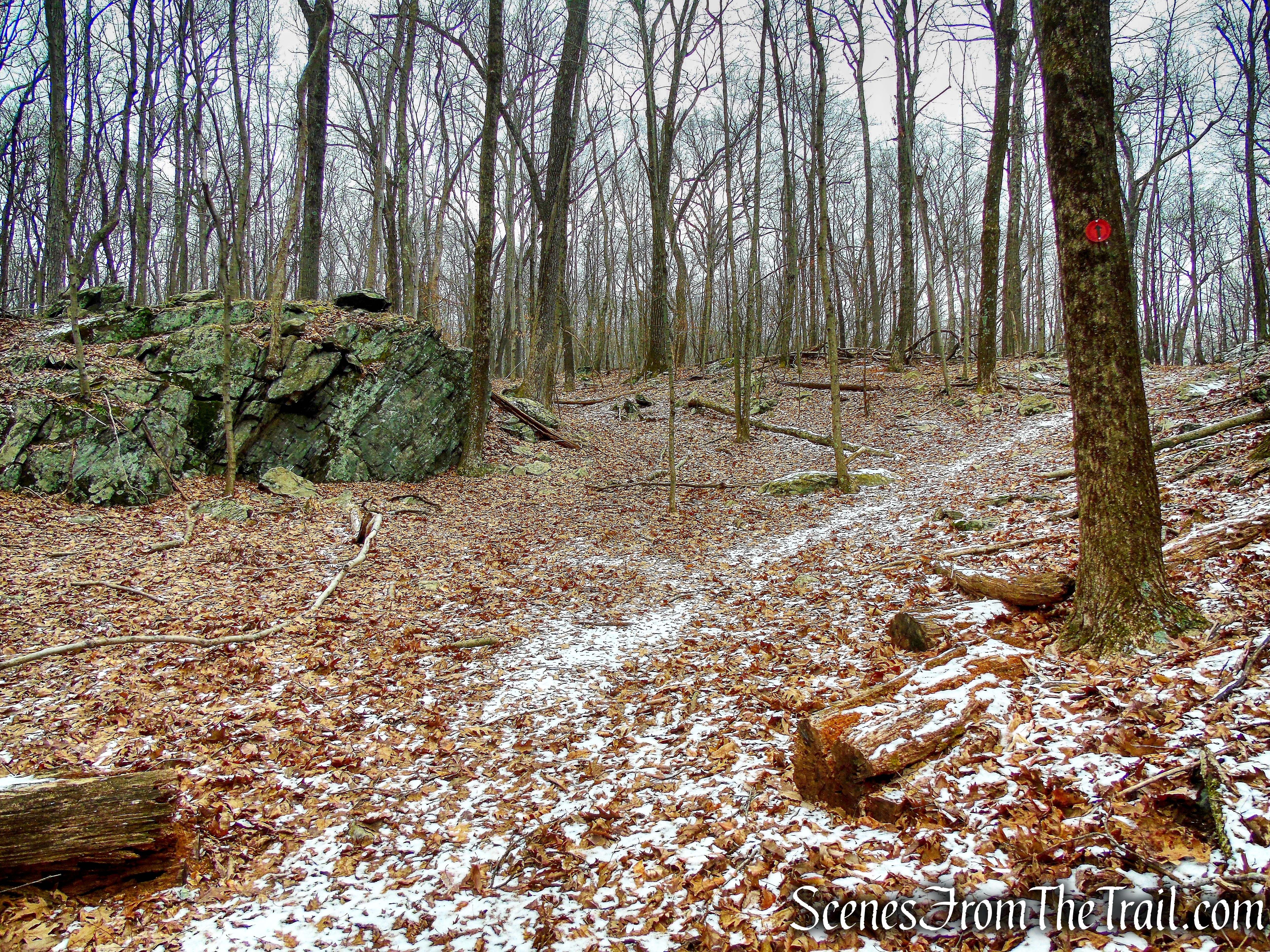 Red Trail - Hearst-Mead Preserve