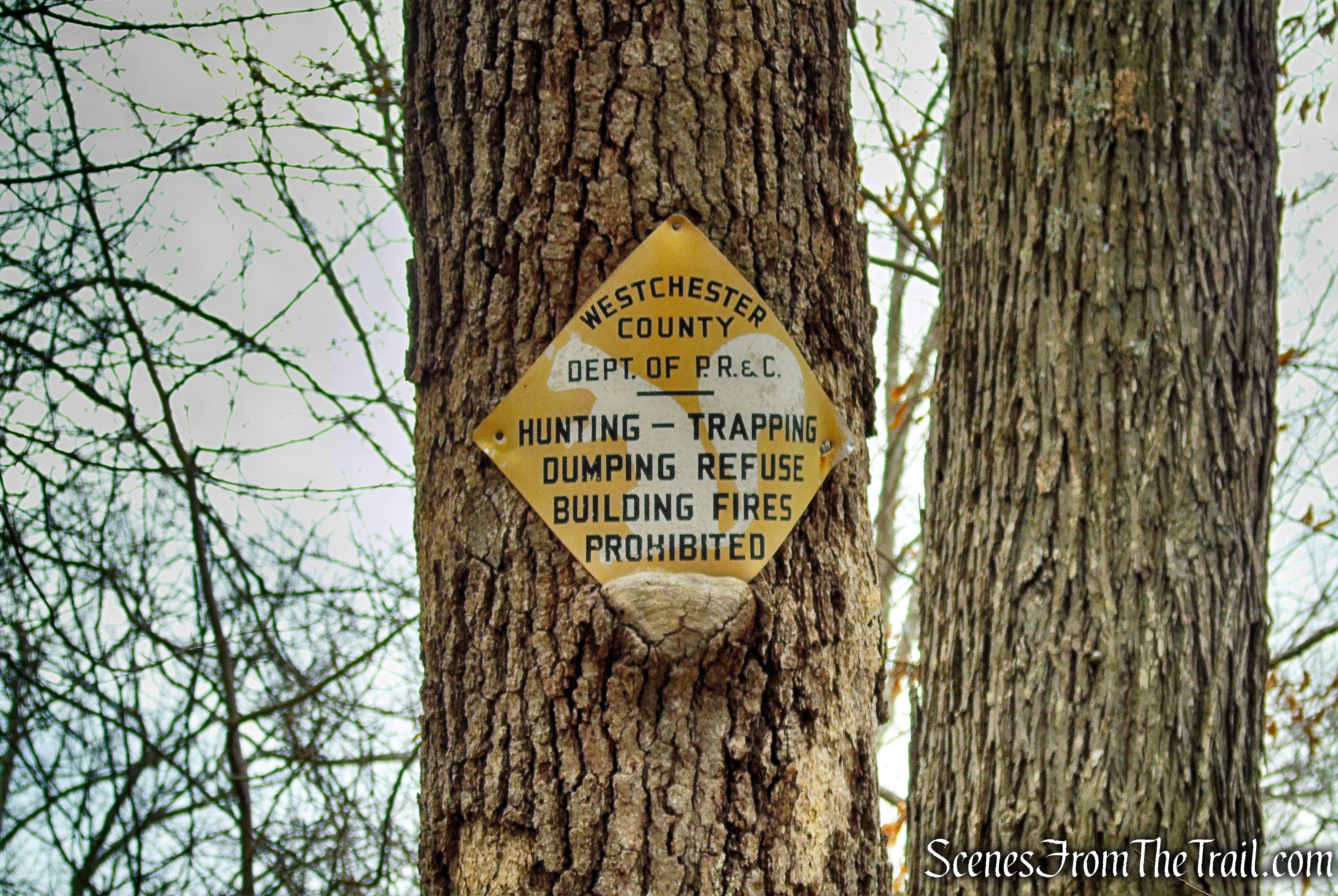 Red Trail - Hearst-Mead Preserve