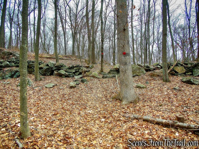 Red Trail - Hearst-Mead Preserve
