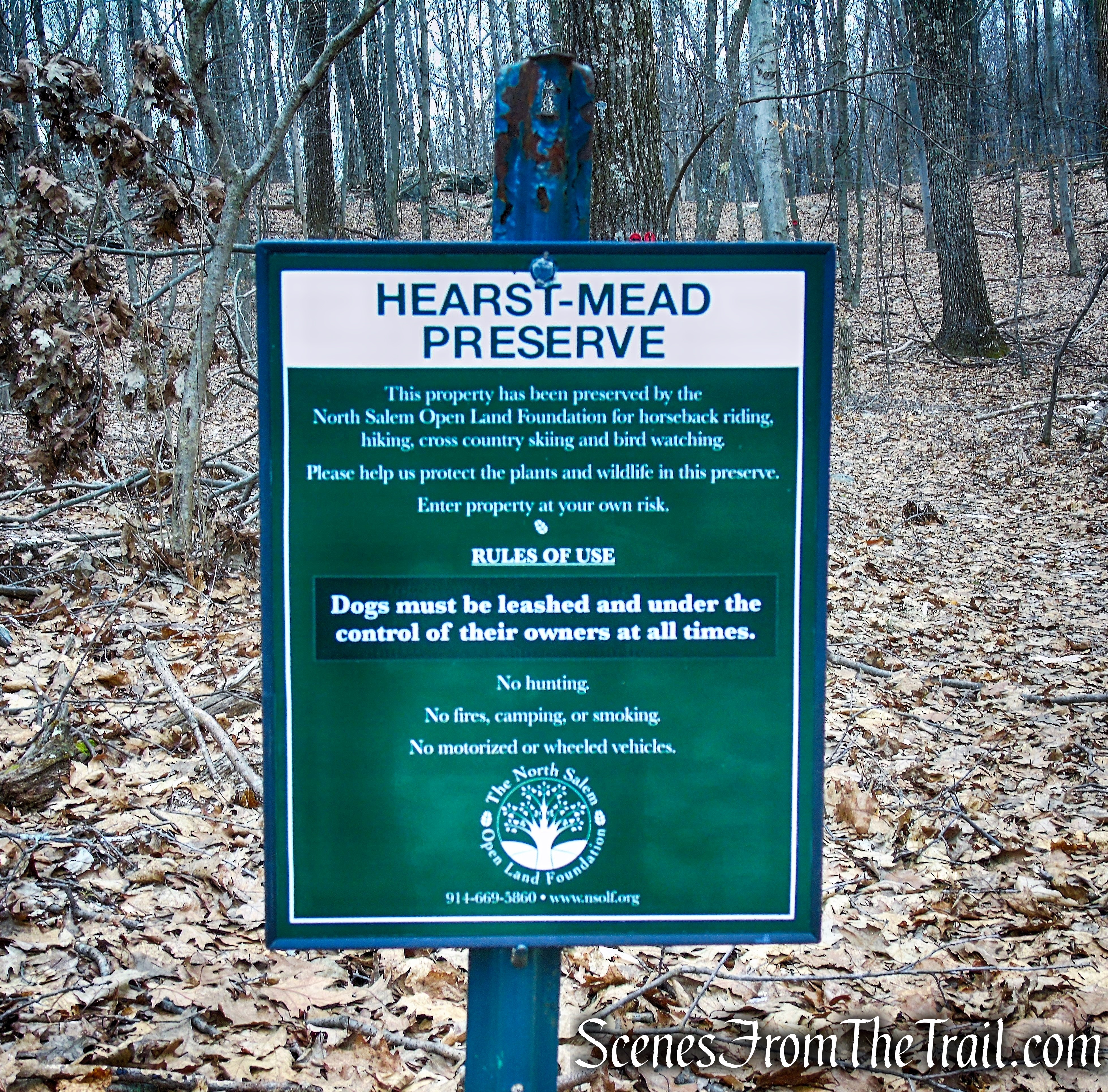 Hearst-Mead Preserve
