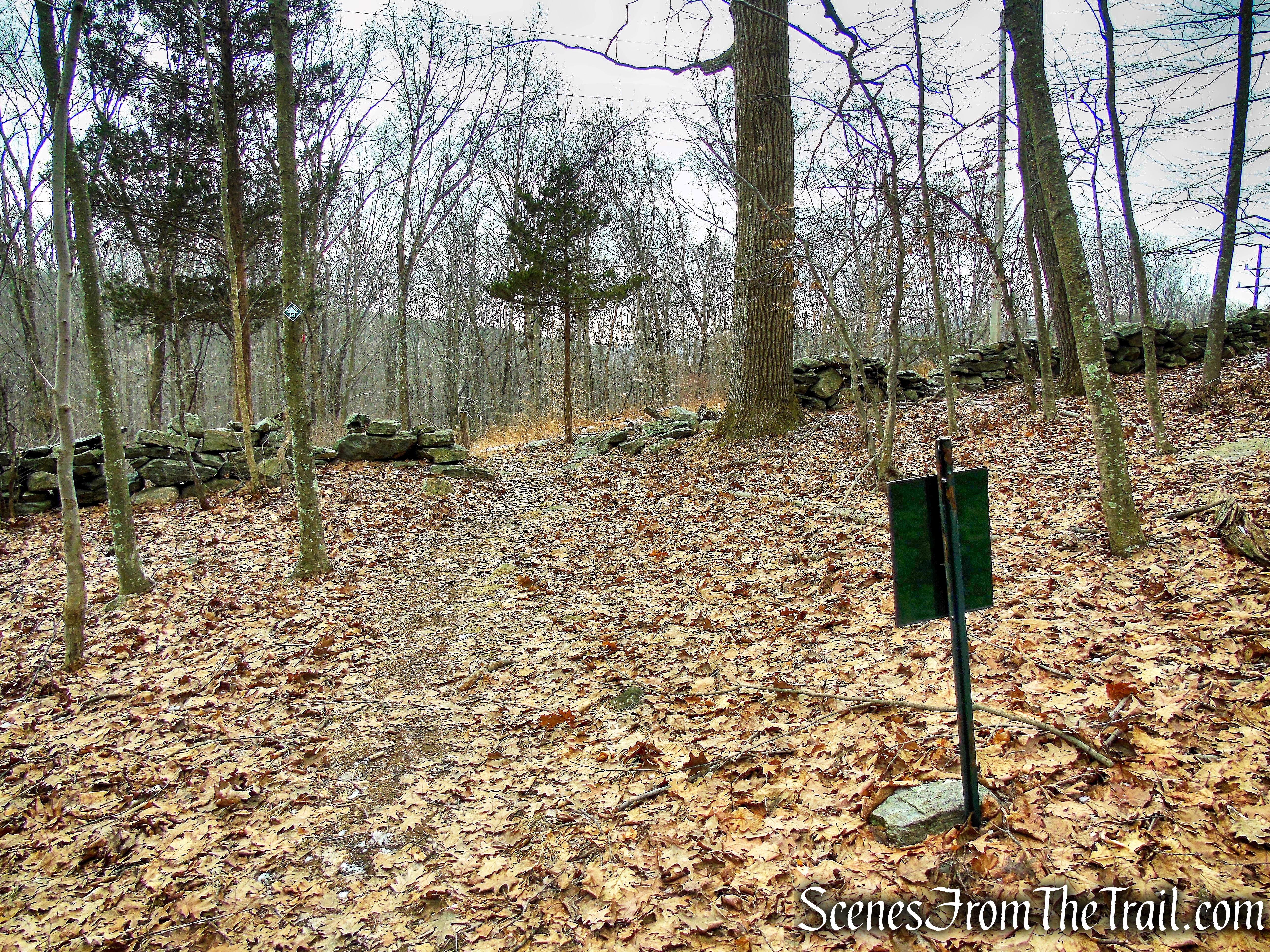 Red Trail - Hearst-Mead Preserve