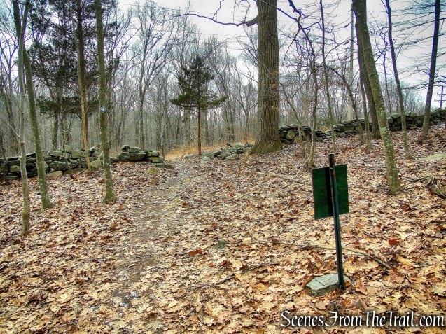 Red Trail - Hearst-Mead Preserve