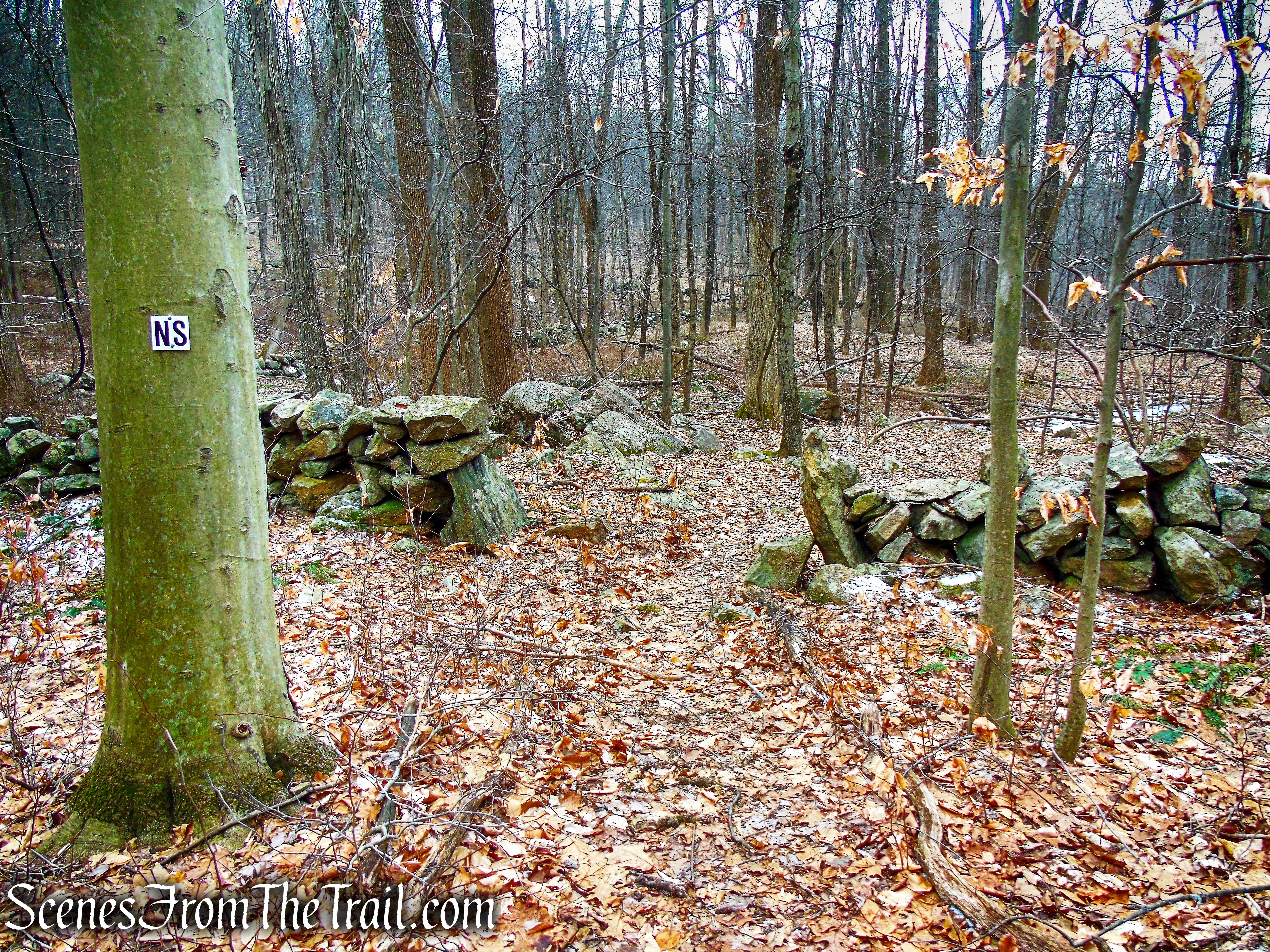 North Salem (NS) Trail - Mountain Lakes Park