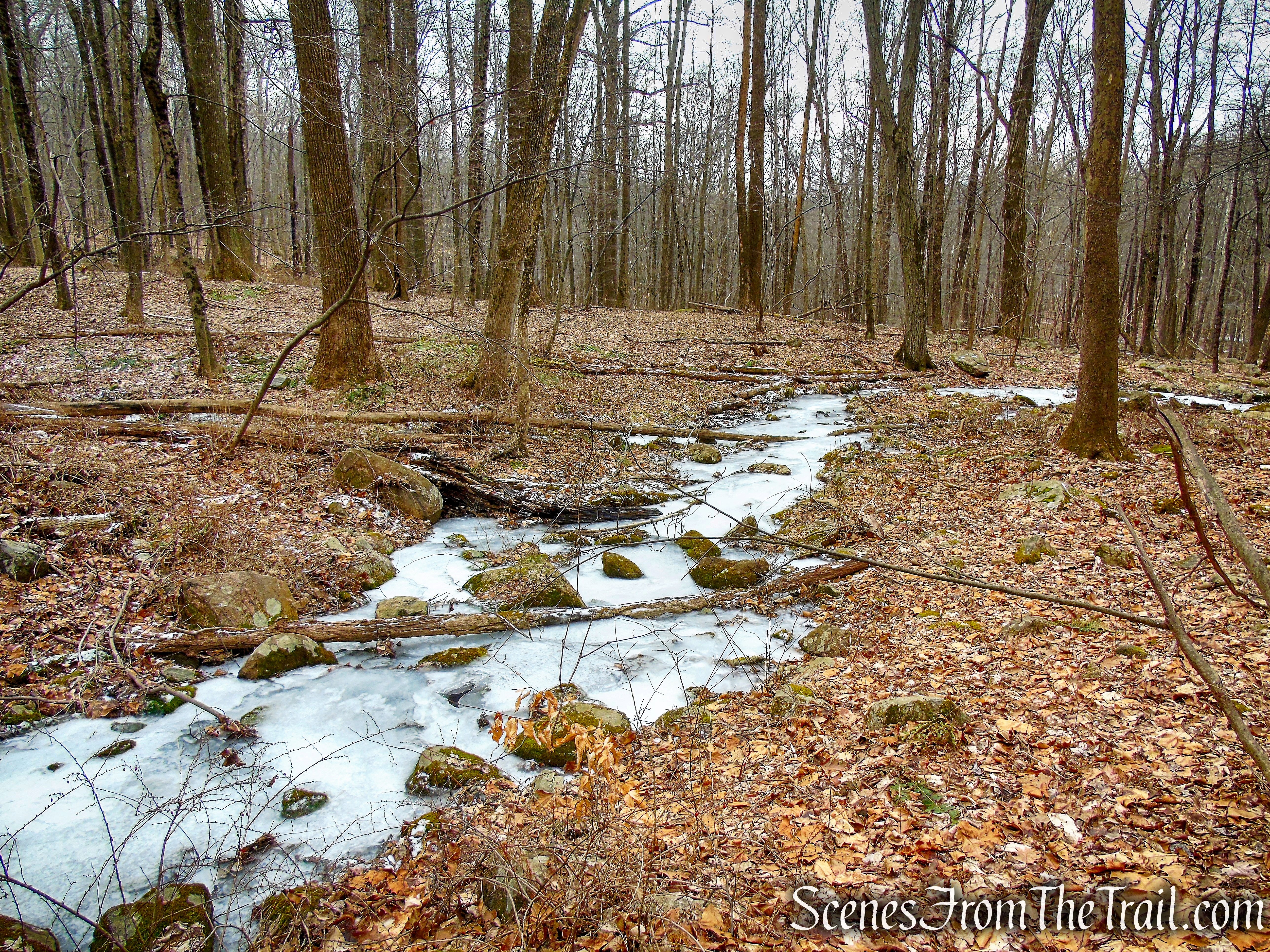 North Salem (NS) Trail - Mountain Lakes Park