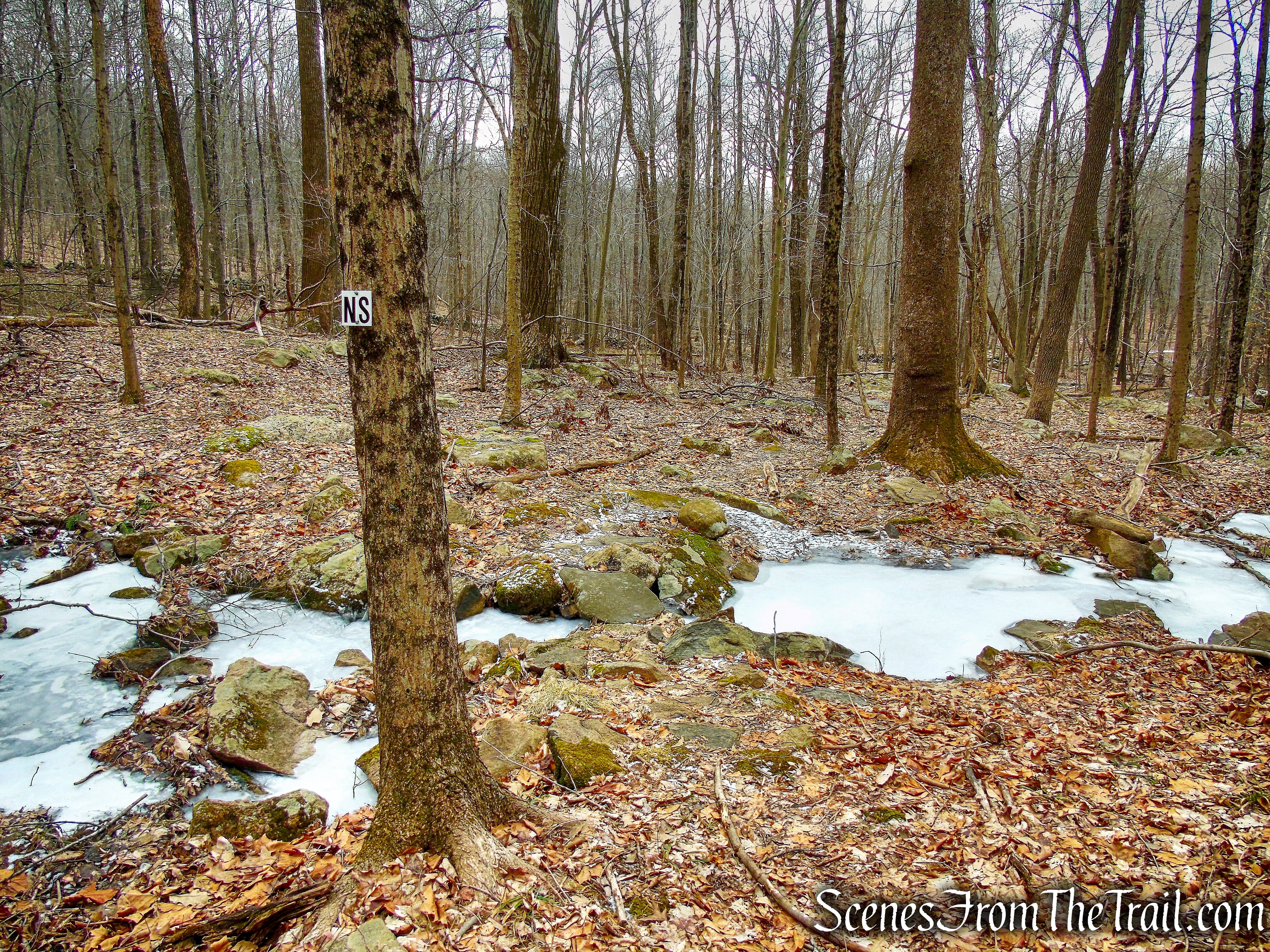 North Salem (NS) Trail - Mountain Lakes Park