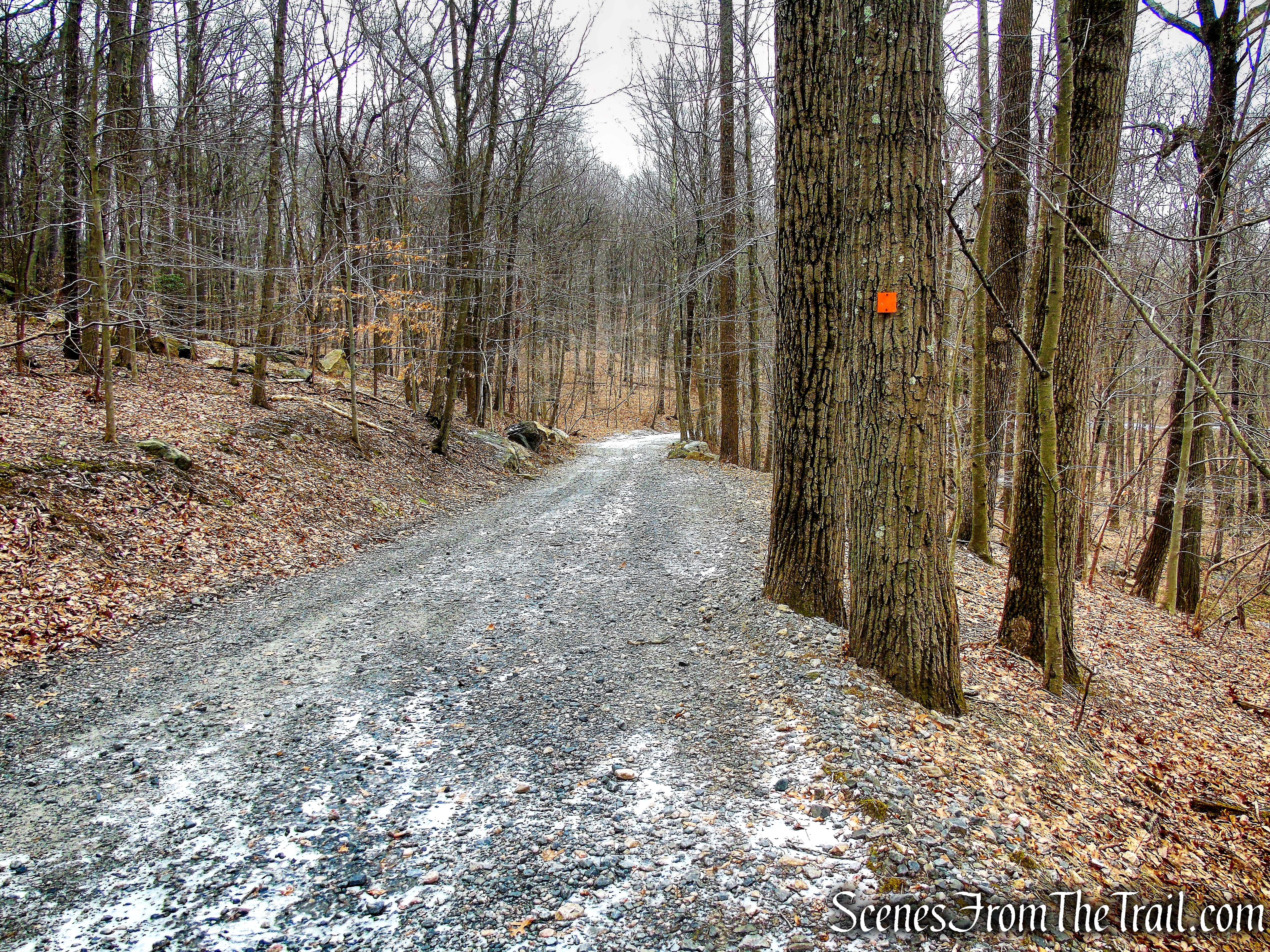 Orange Trail - Mountain Lakes Park