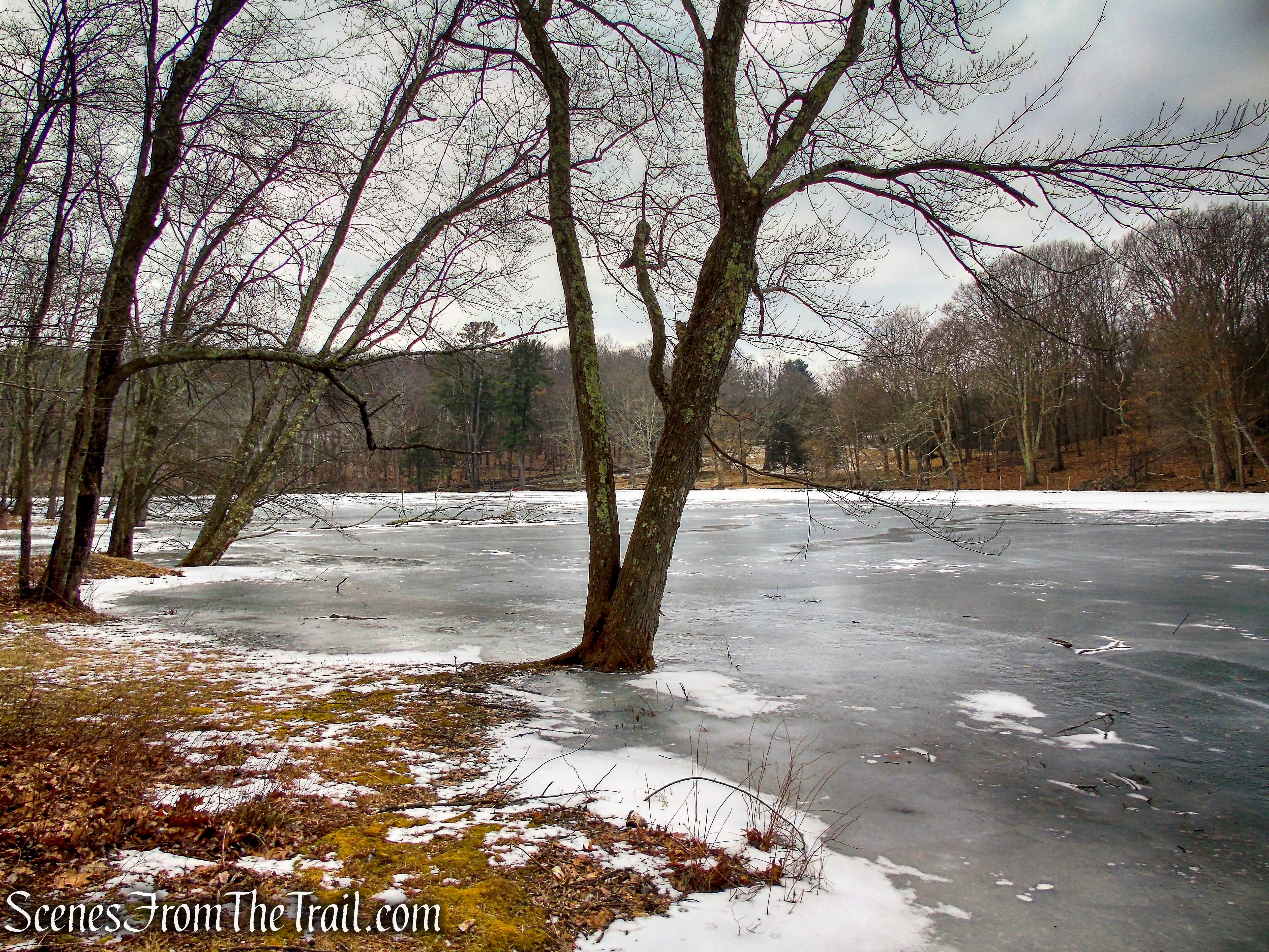 Pine Lake - Mountain Lakes Park