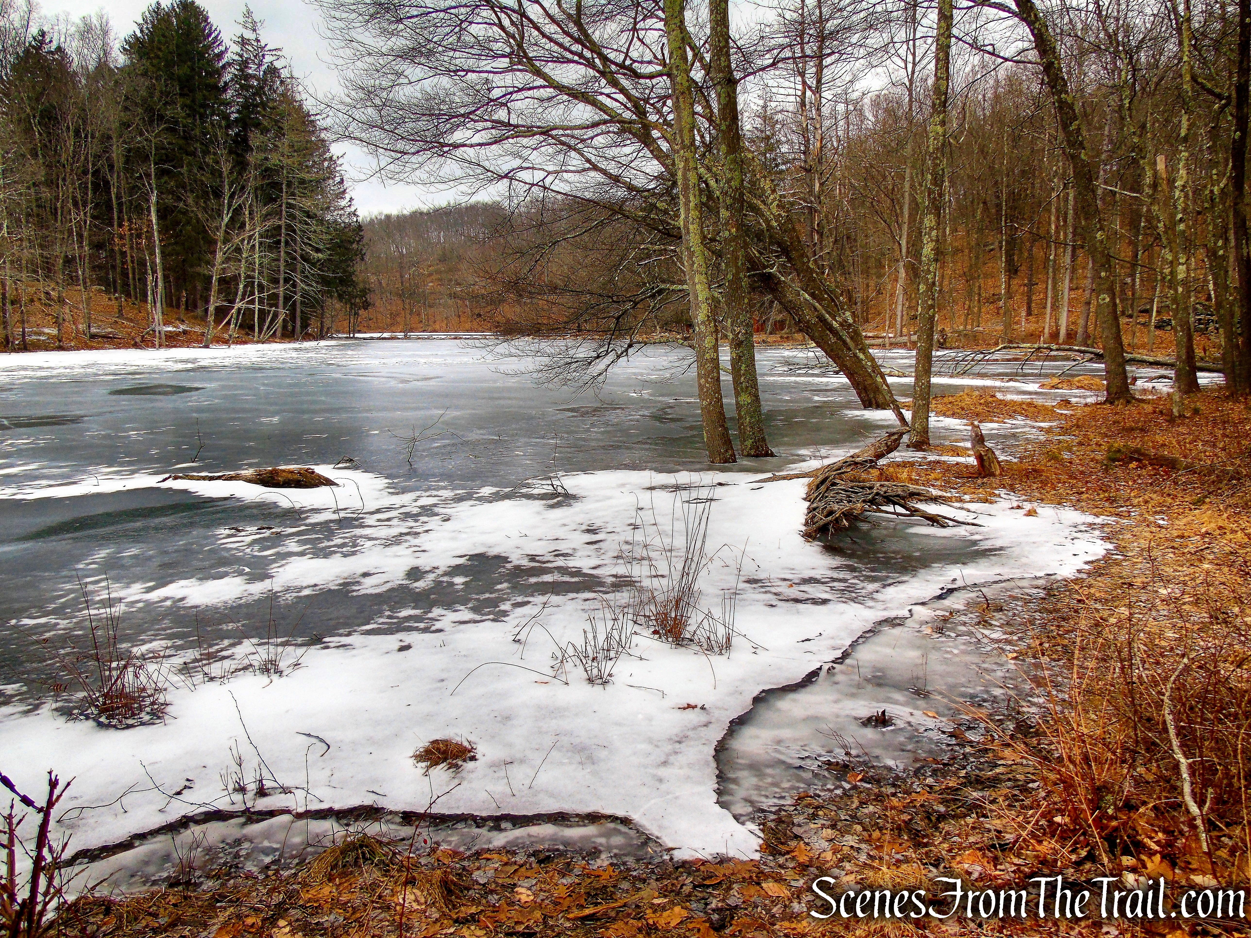 Pine Lake - Mountain Lakes Park